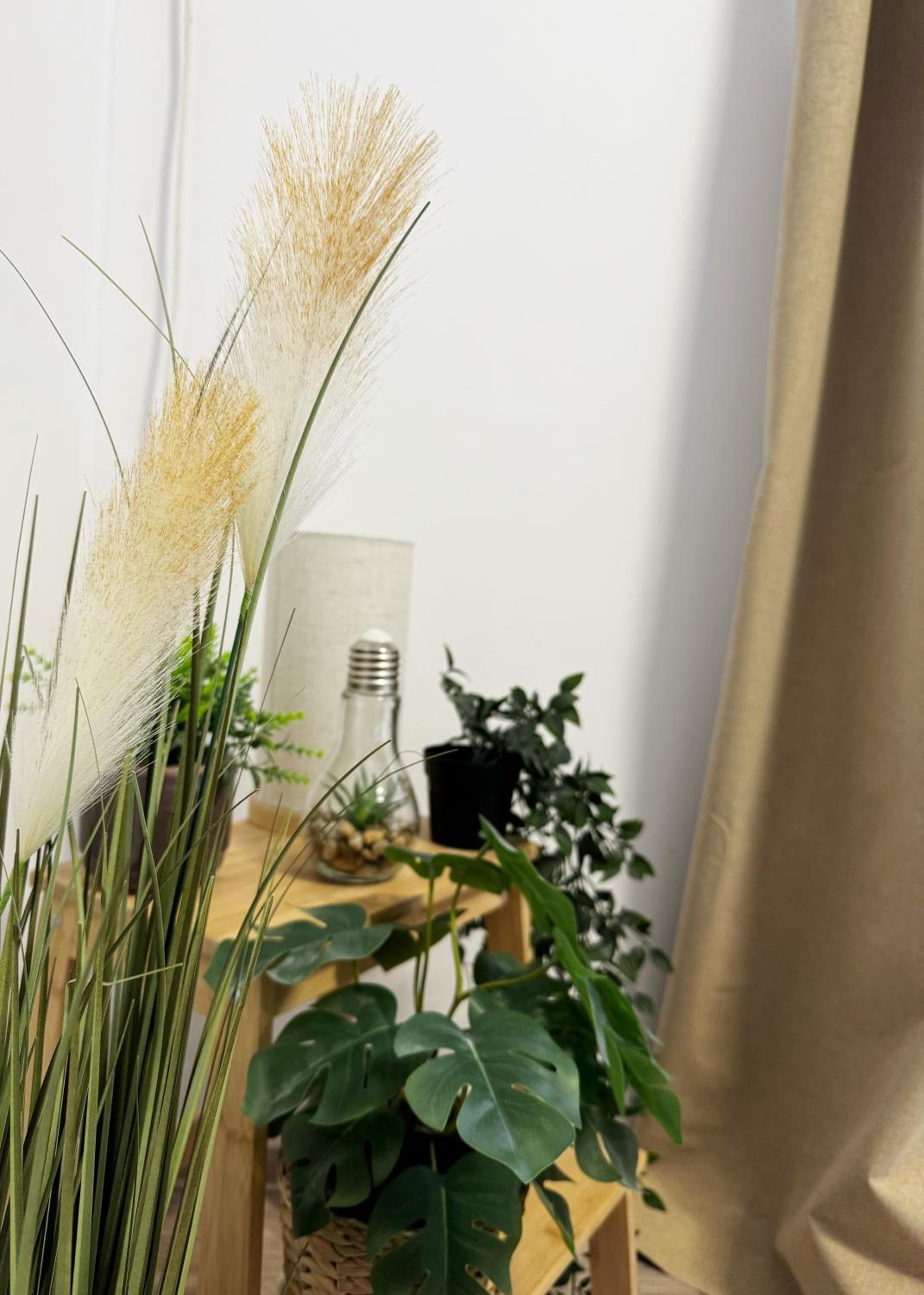 Cozy Studio Retreat - Quiet, Premium Stay
