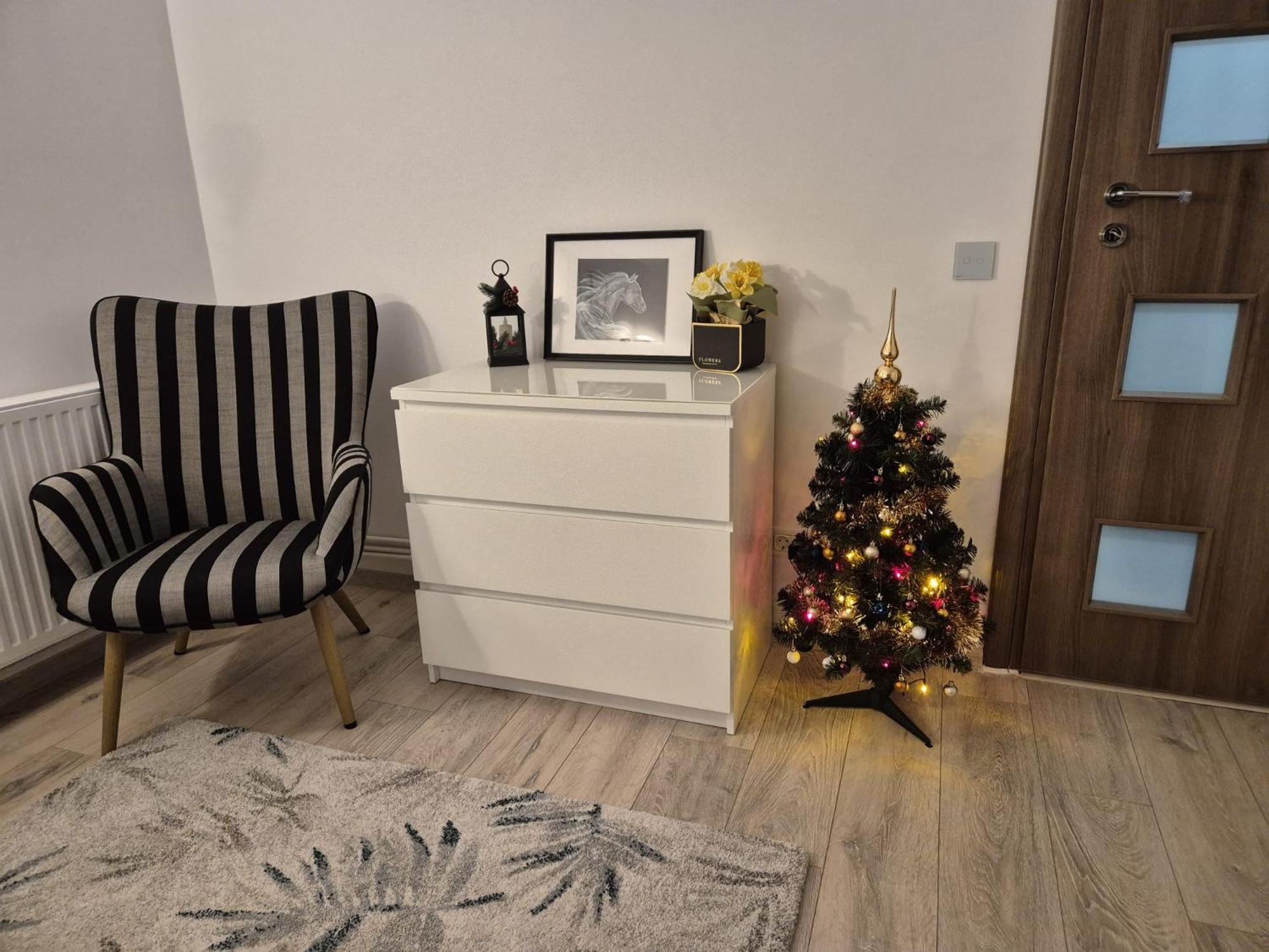 ZARA STUDIO BRASOV