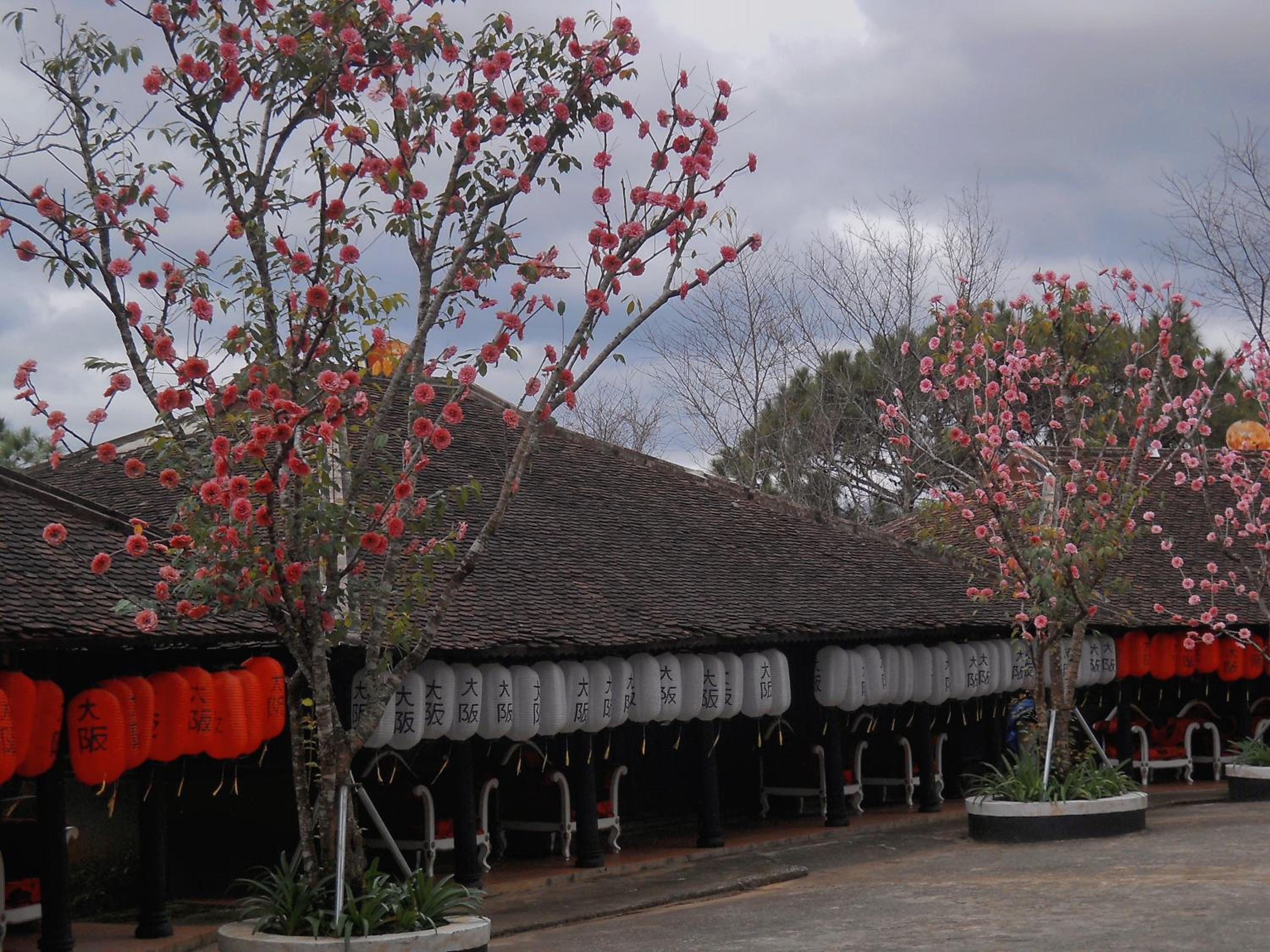 Osaka Village Dalat