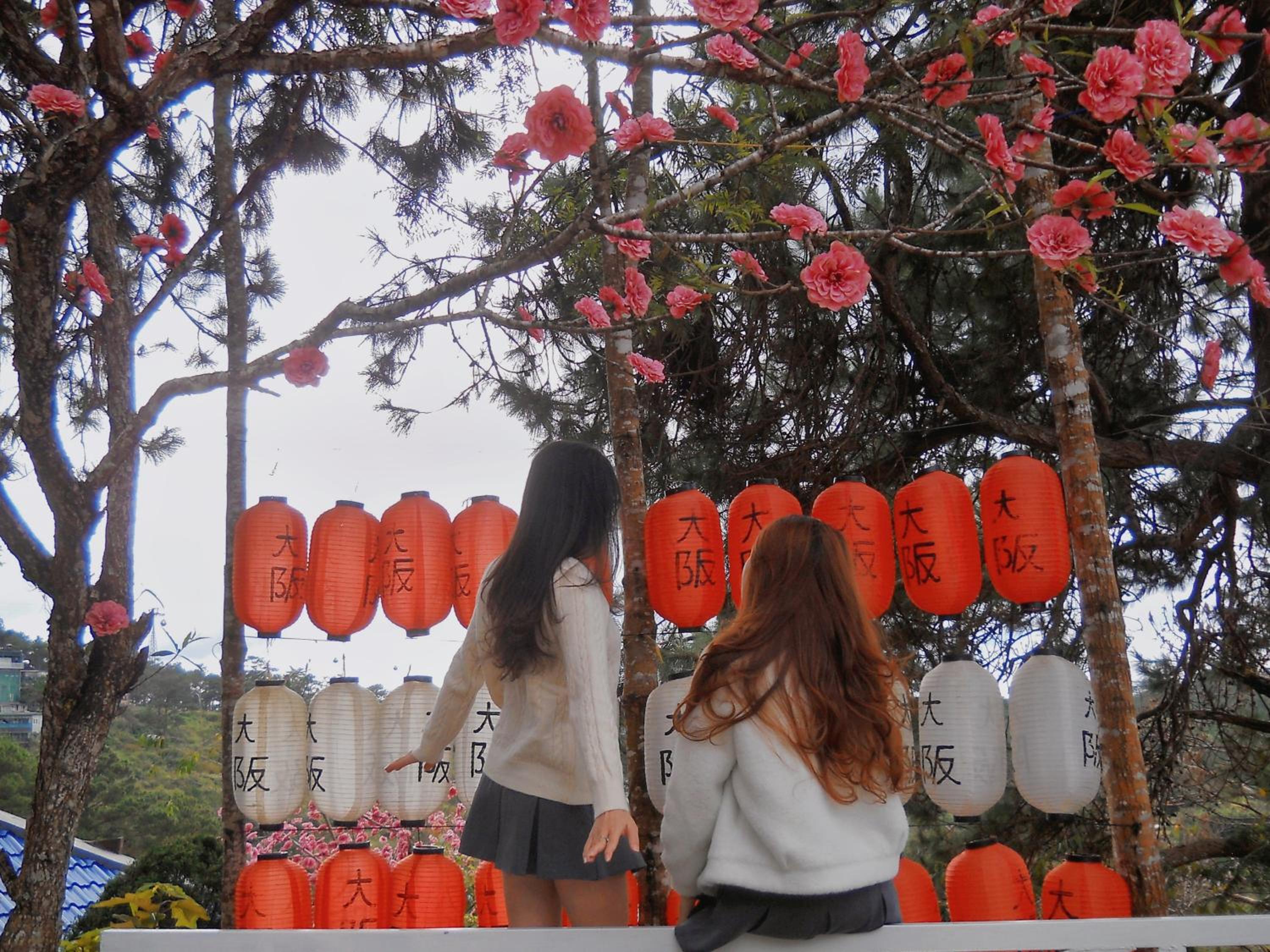 Osaka Village Dalat