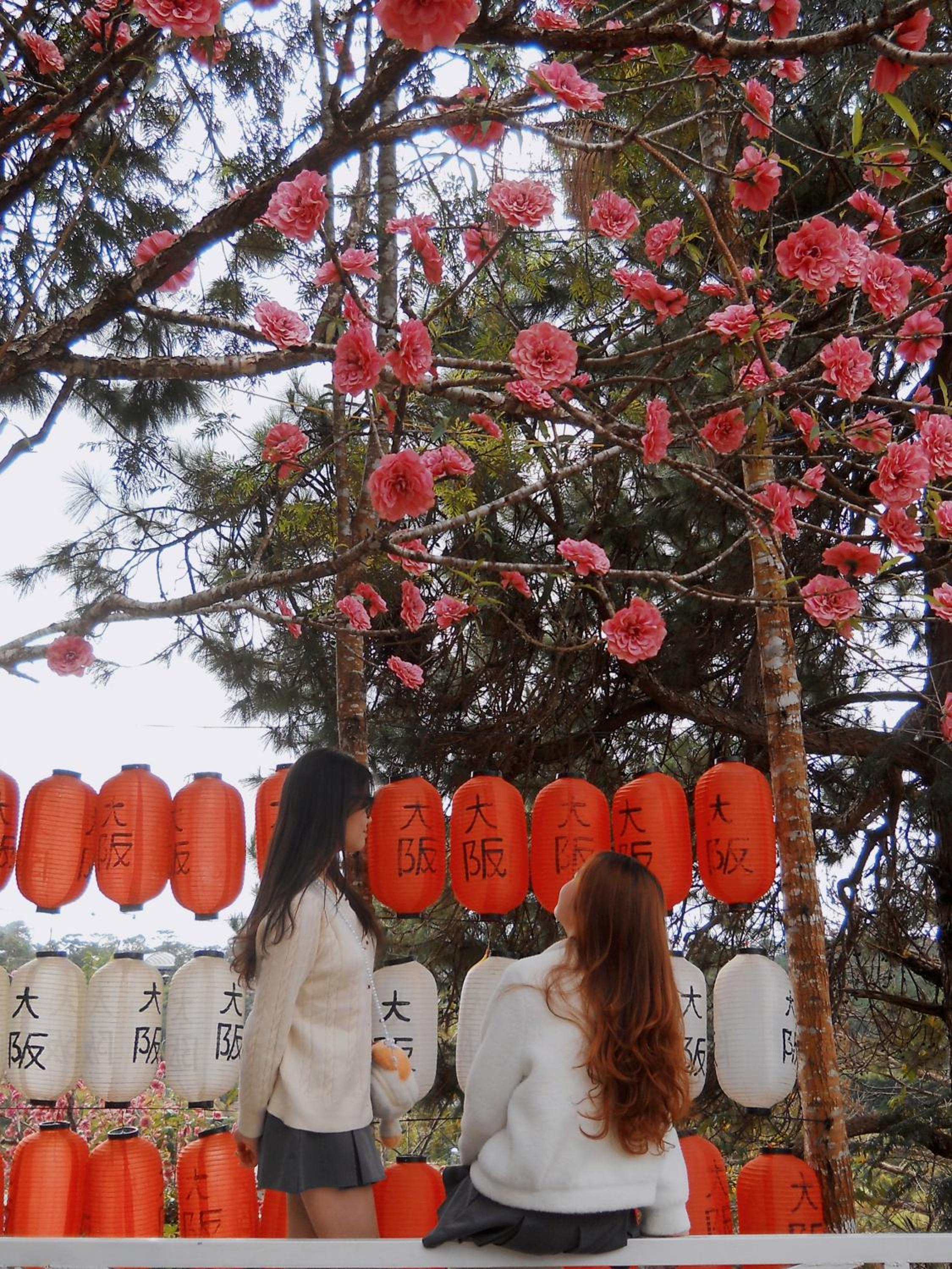 Osaka Village Dalat