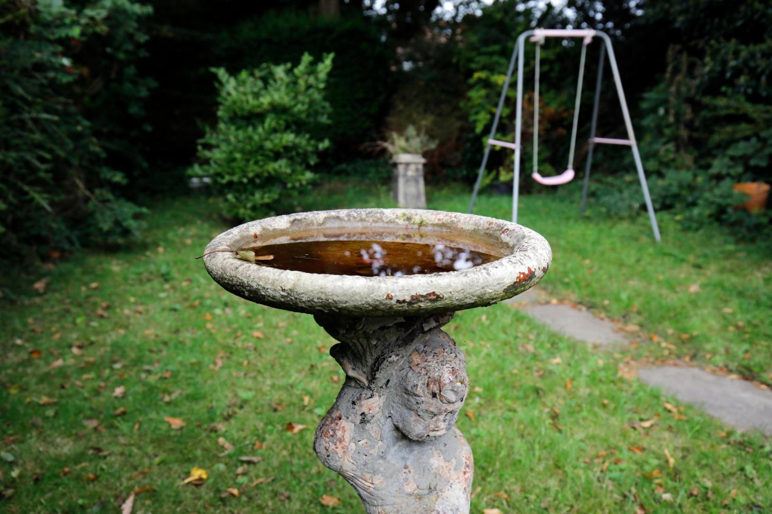 Photo 18
