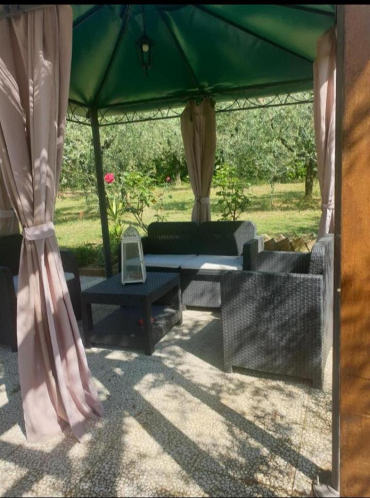 Appartamenti Leccino e Moraiolo en Siena