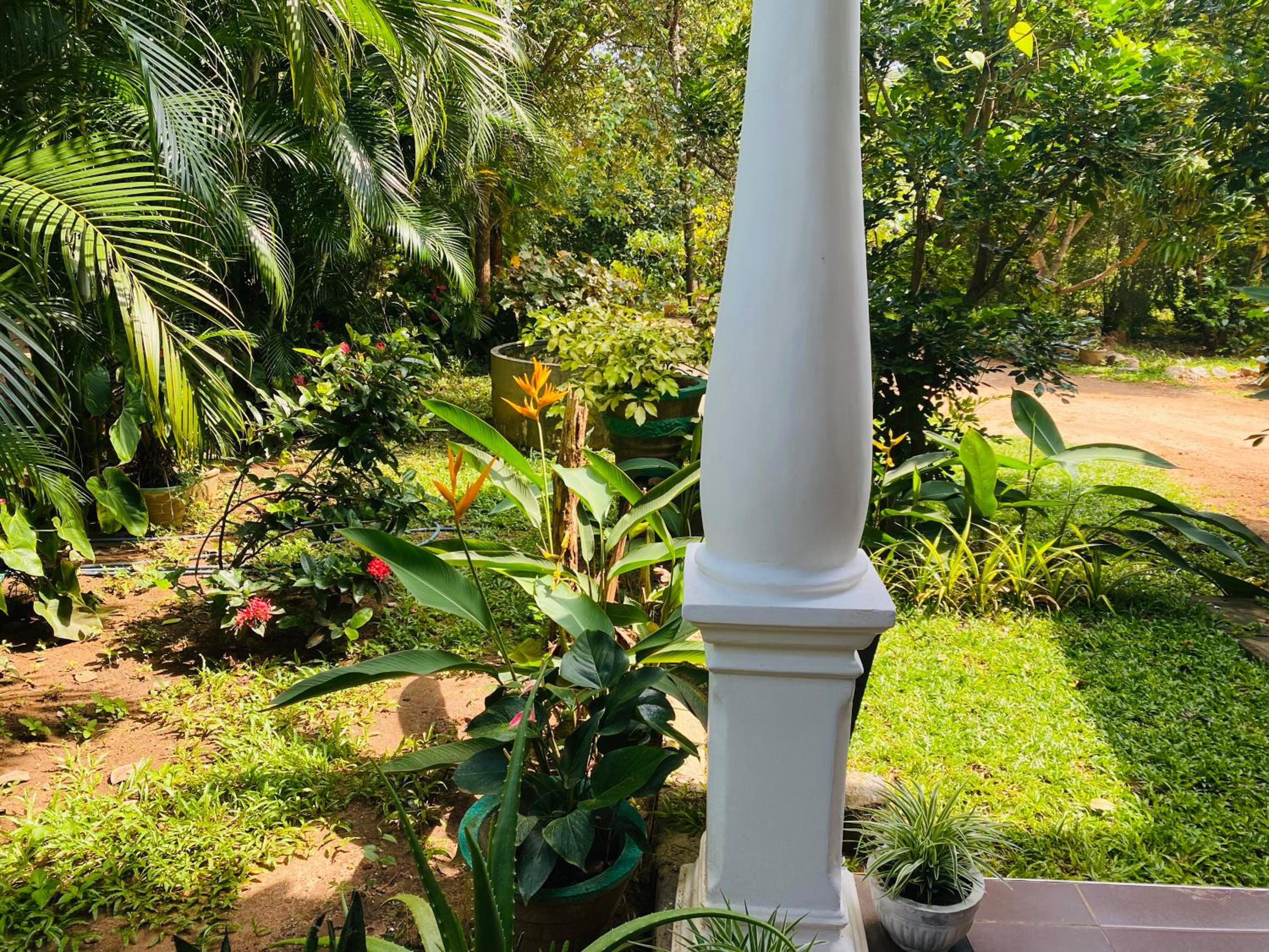 Fairview Dill homestay