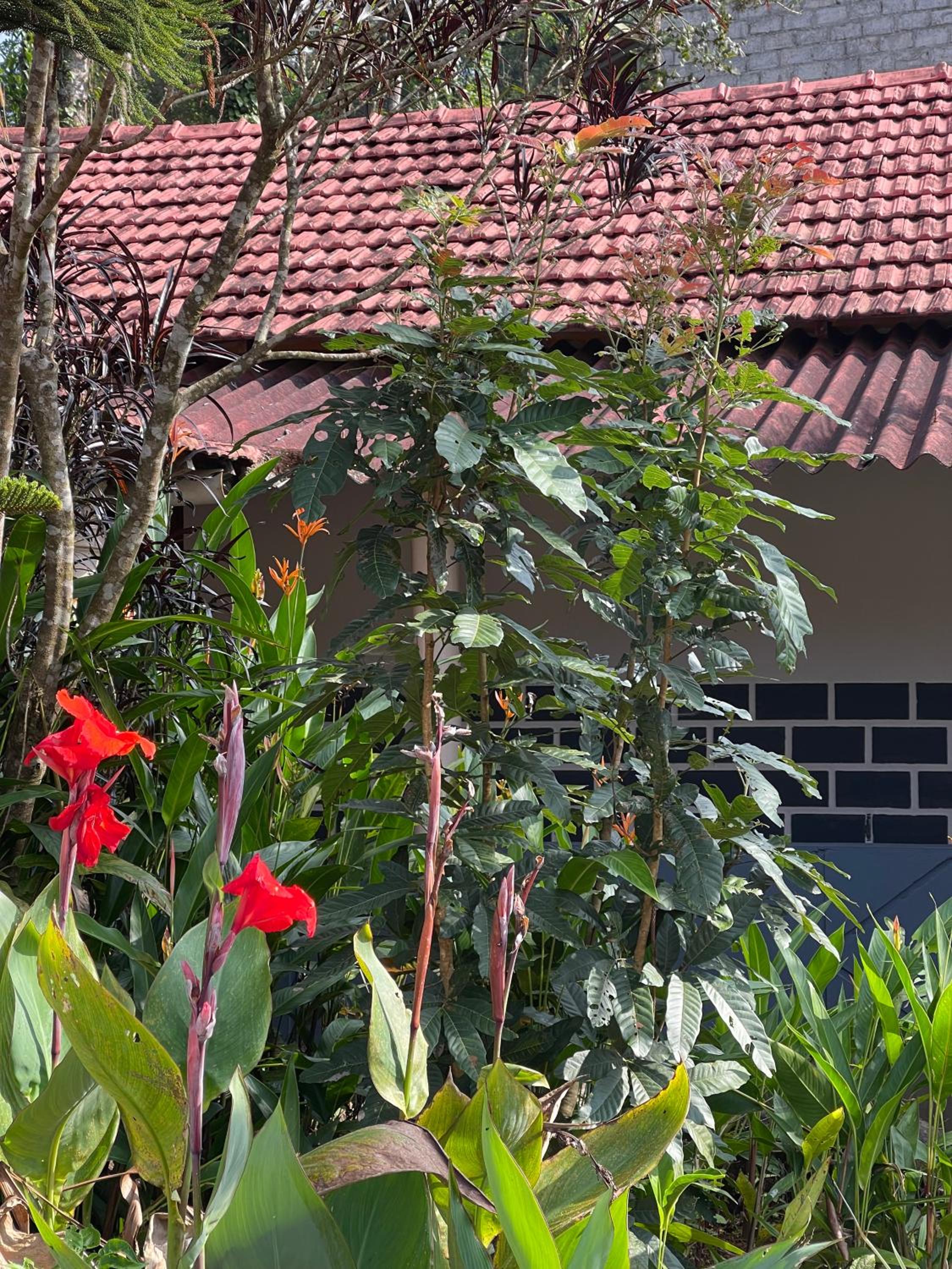 Bhagyashree Homestay