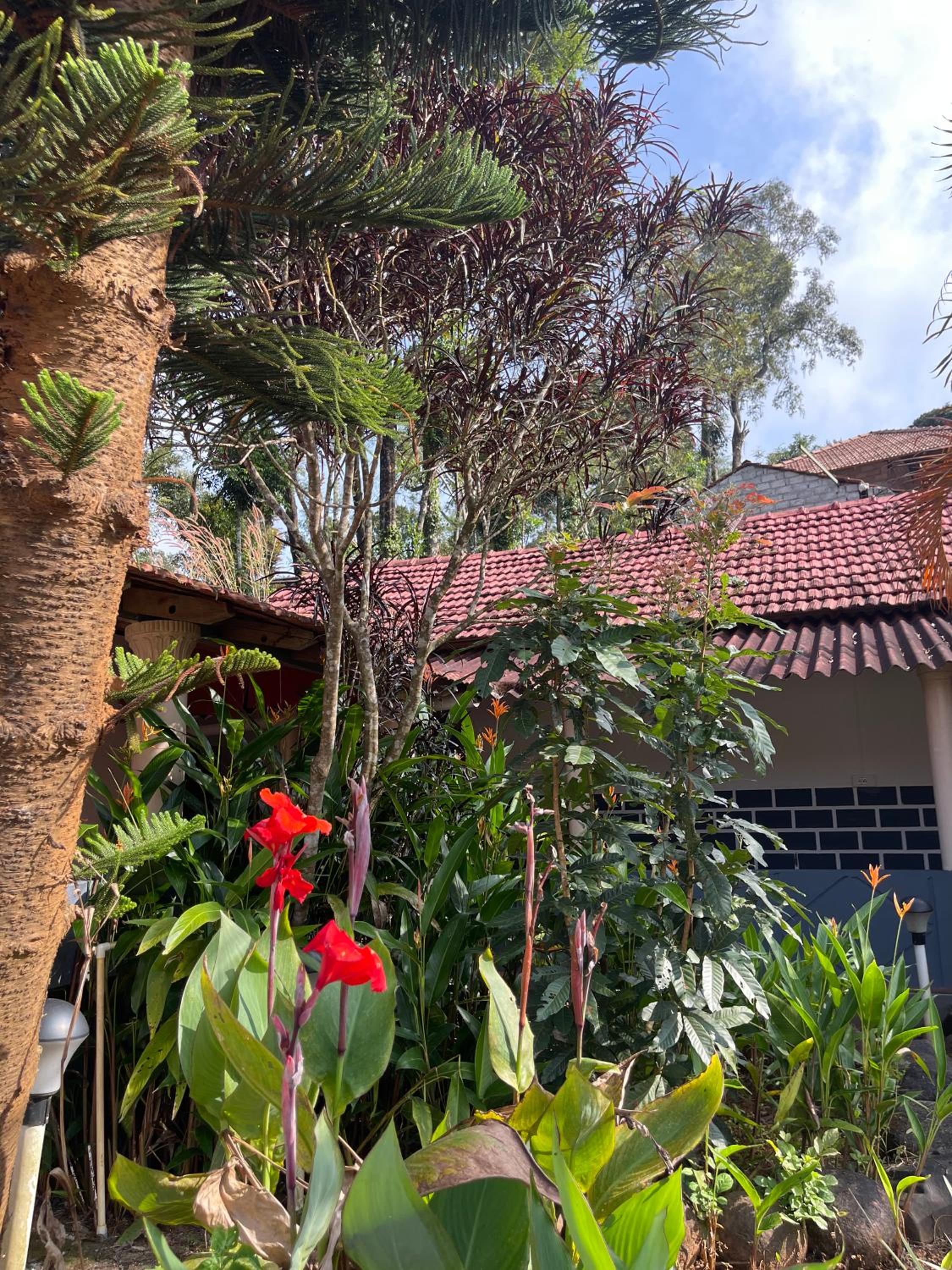 Bhagyashree Homestay