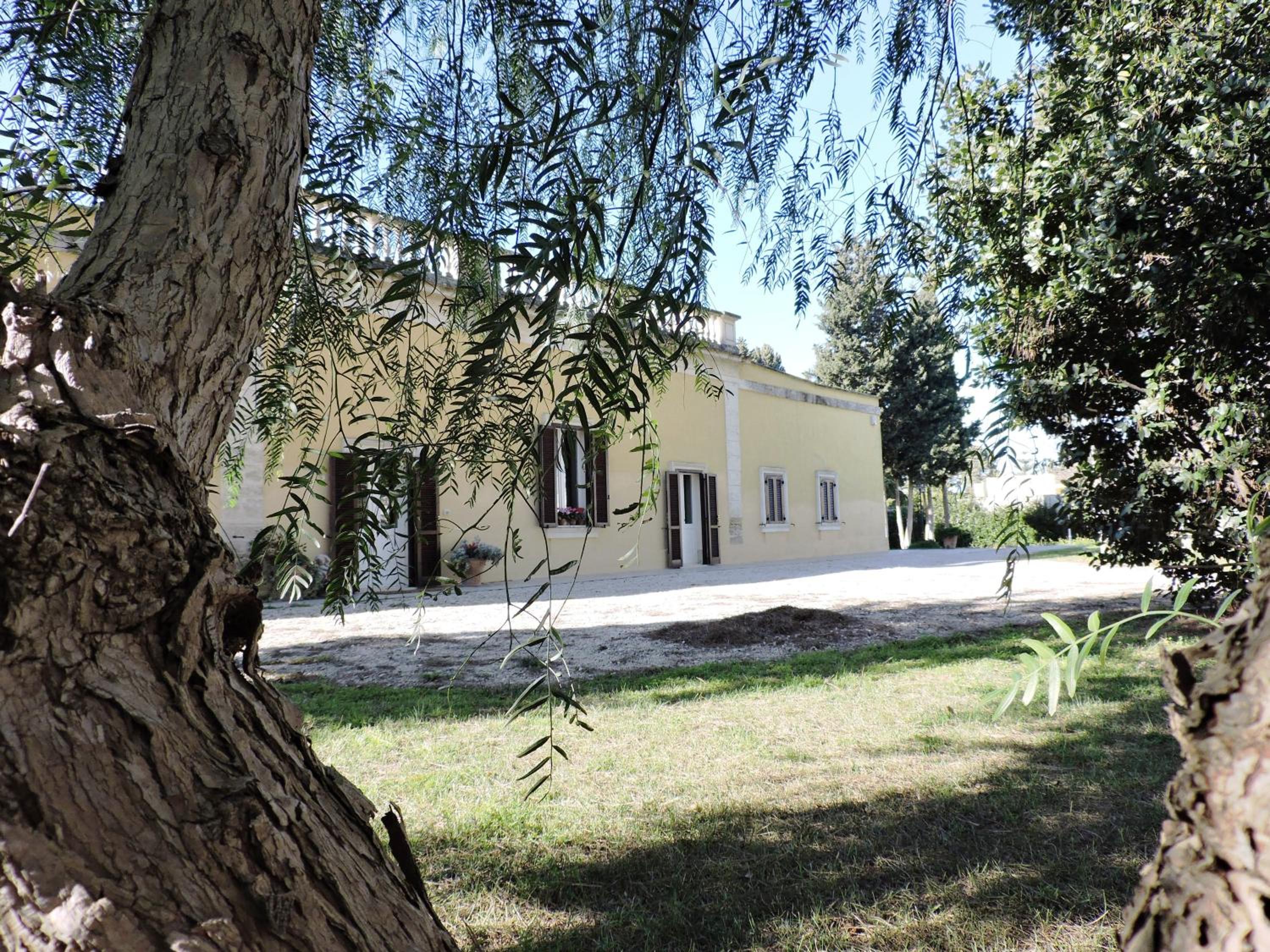 Photo 30