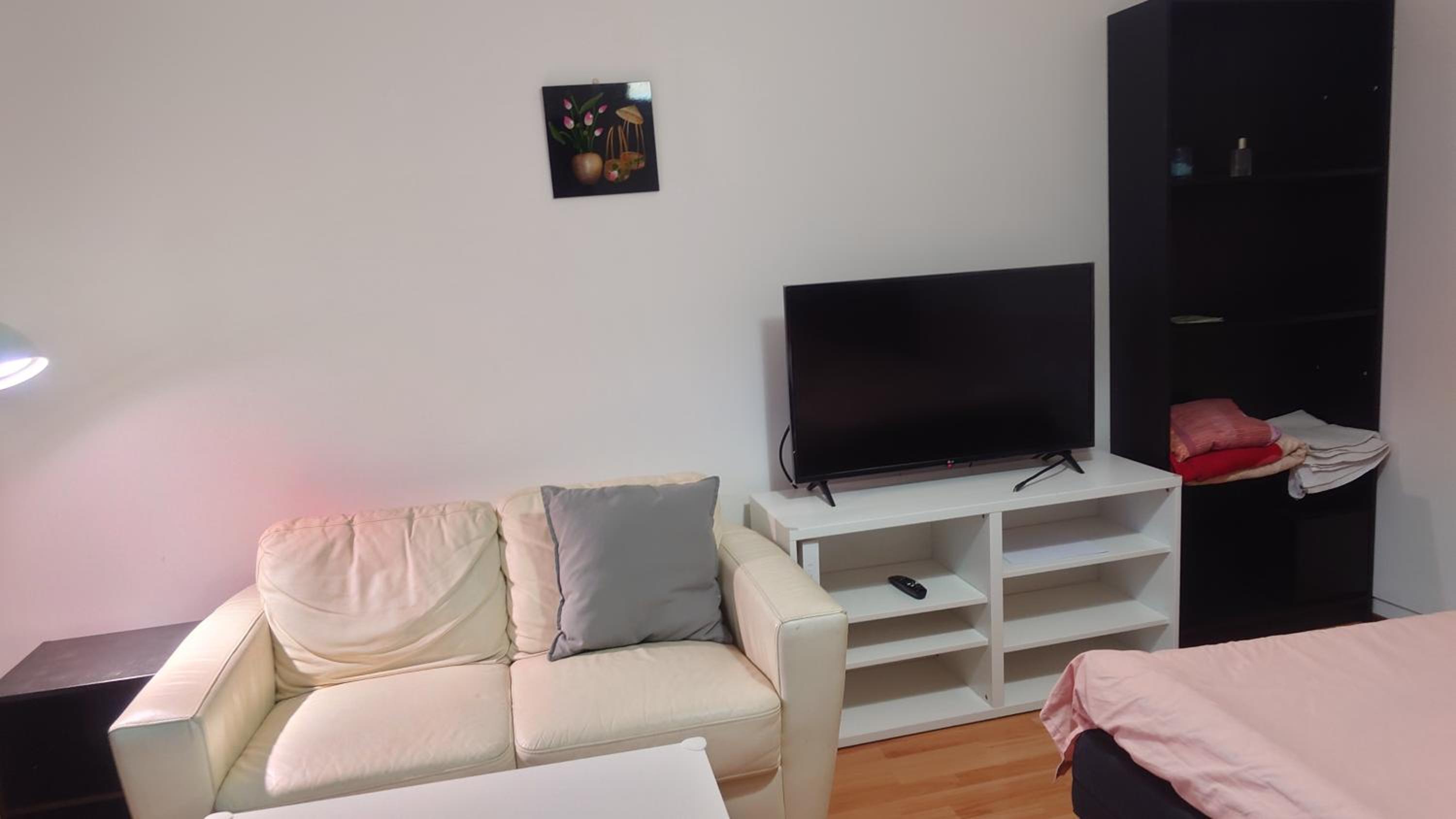 Entire cozy apartment just for you