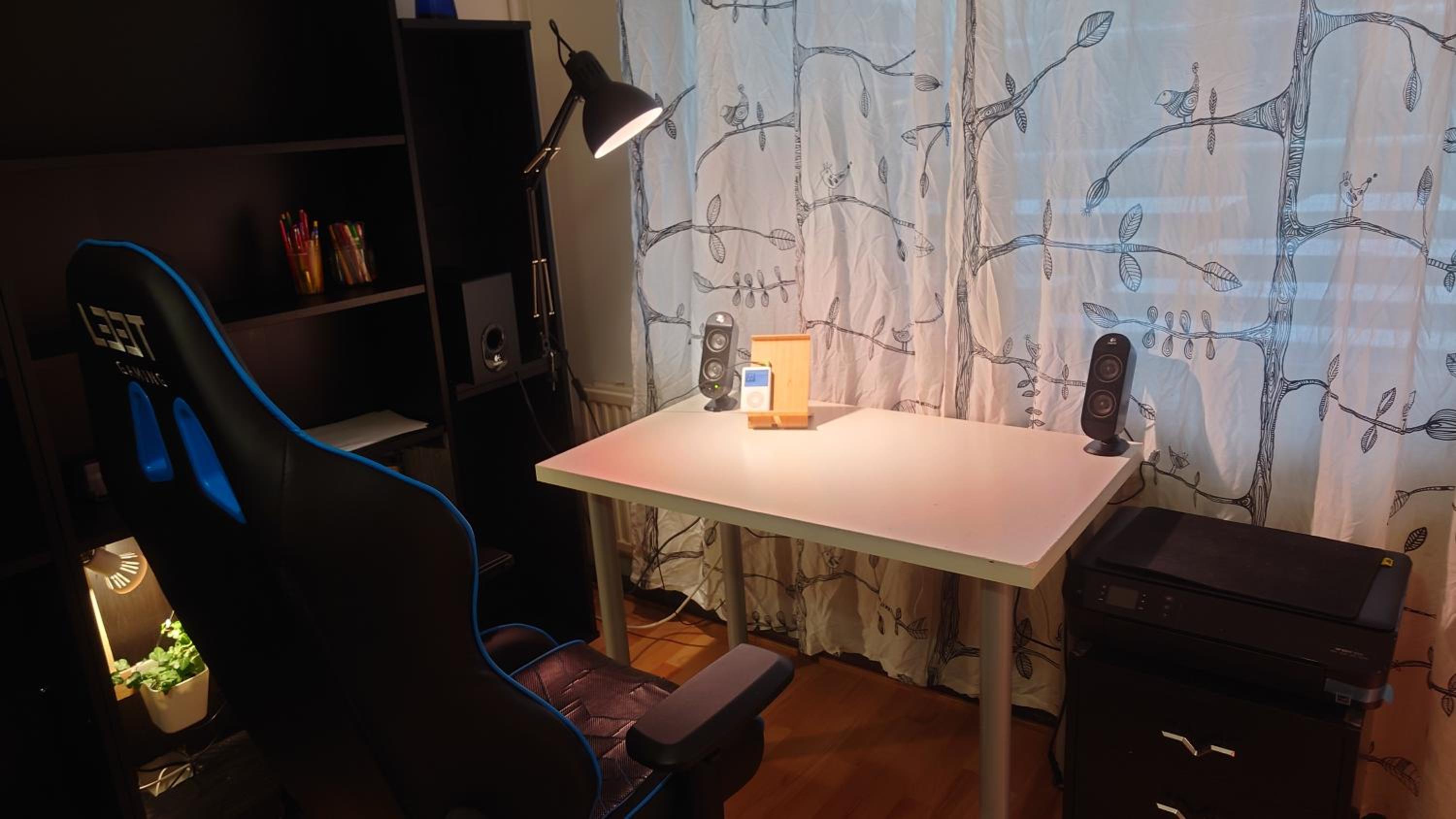 Entire cozy apartment just for you