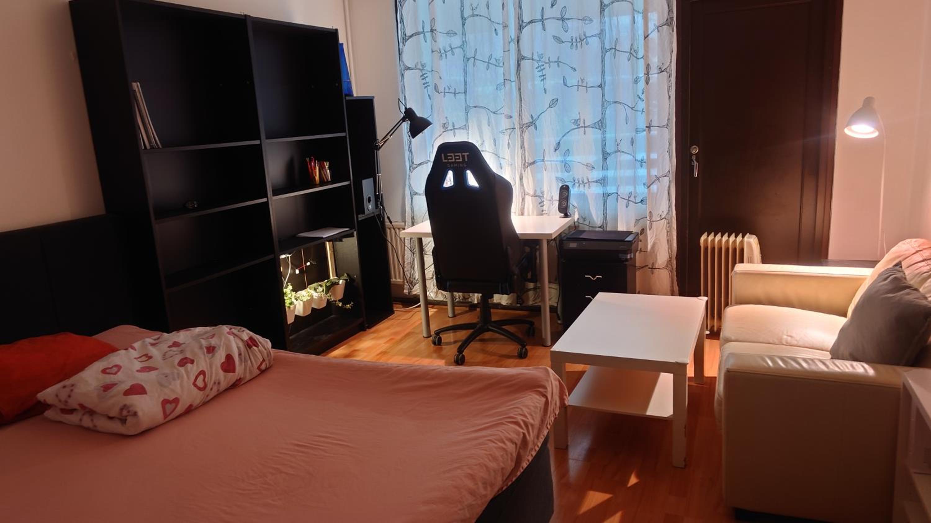 Entire cozy apartment just for you