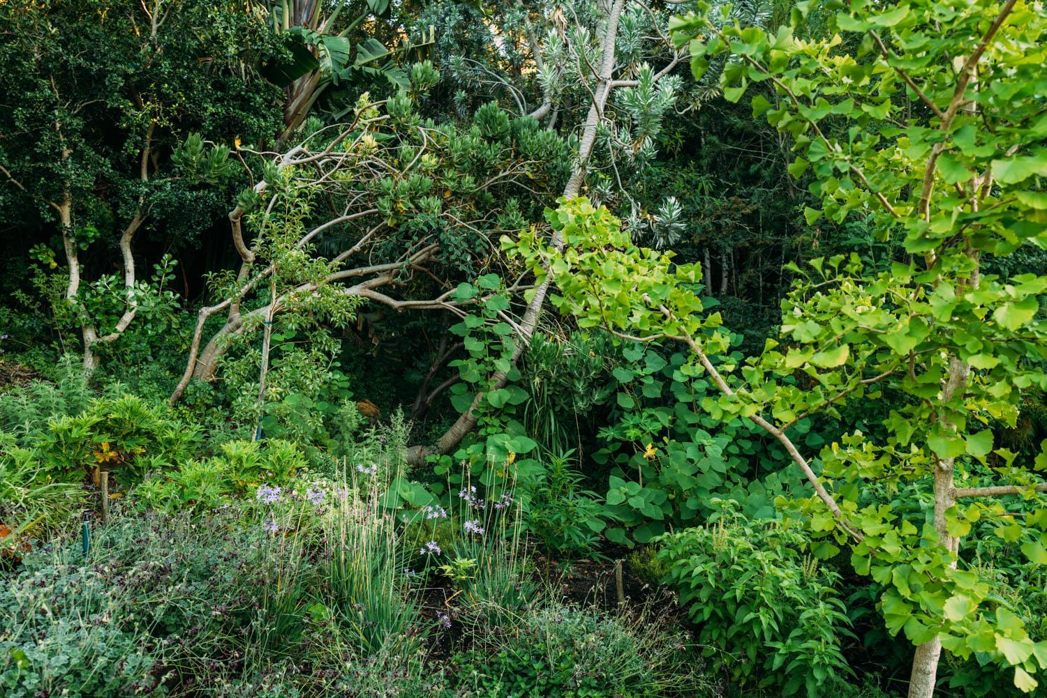 Phakalane Retreat