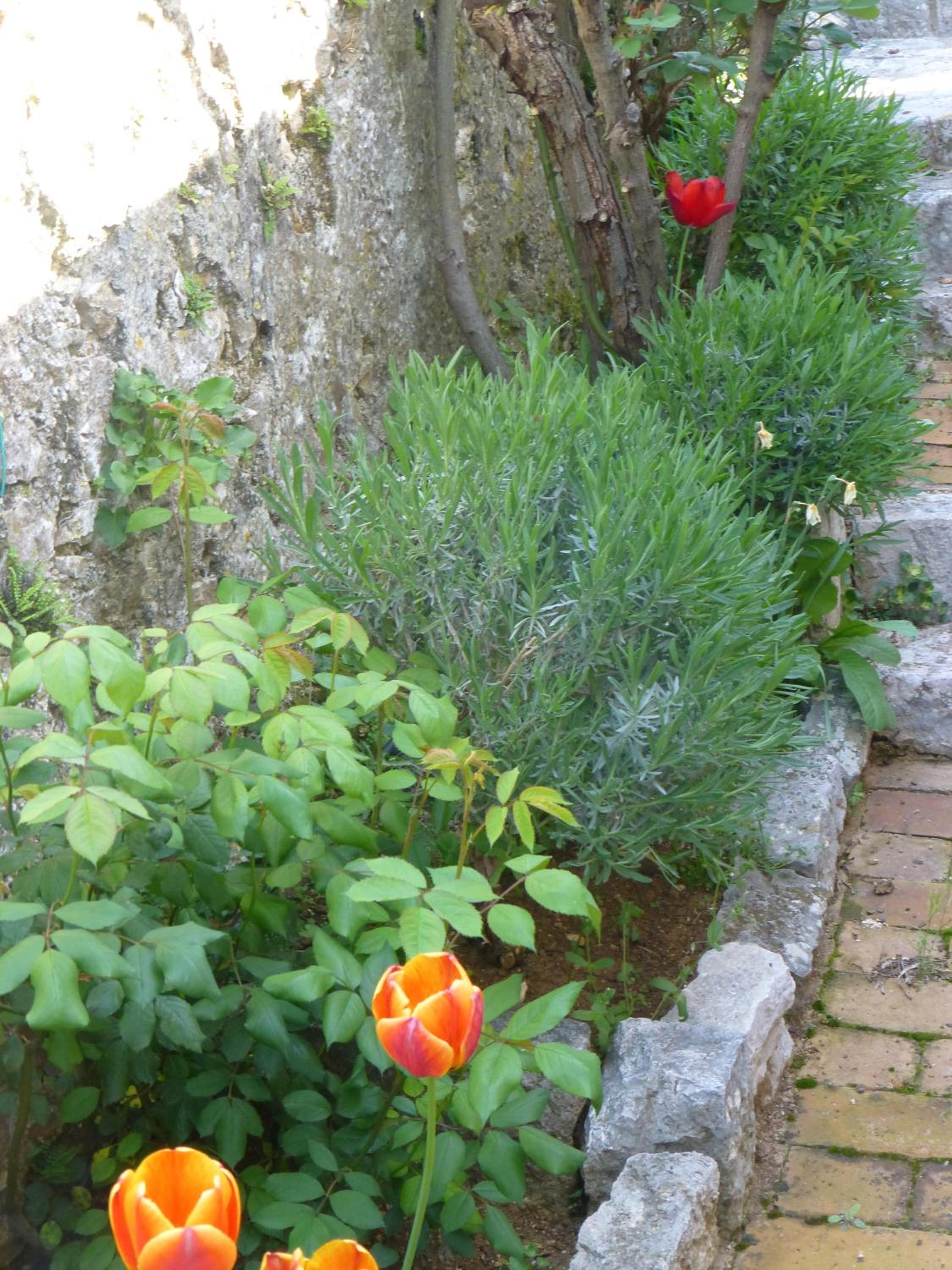 Photo 56