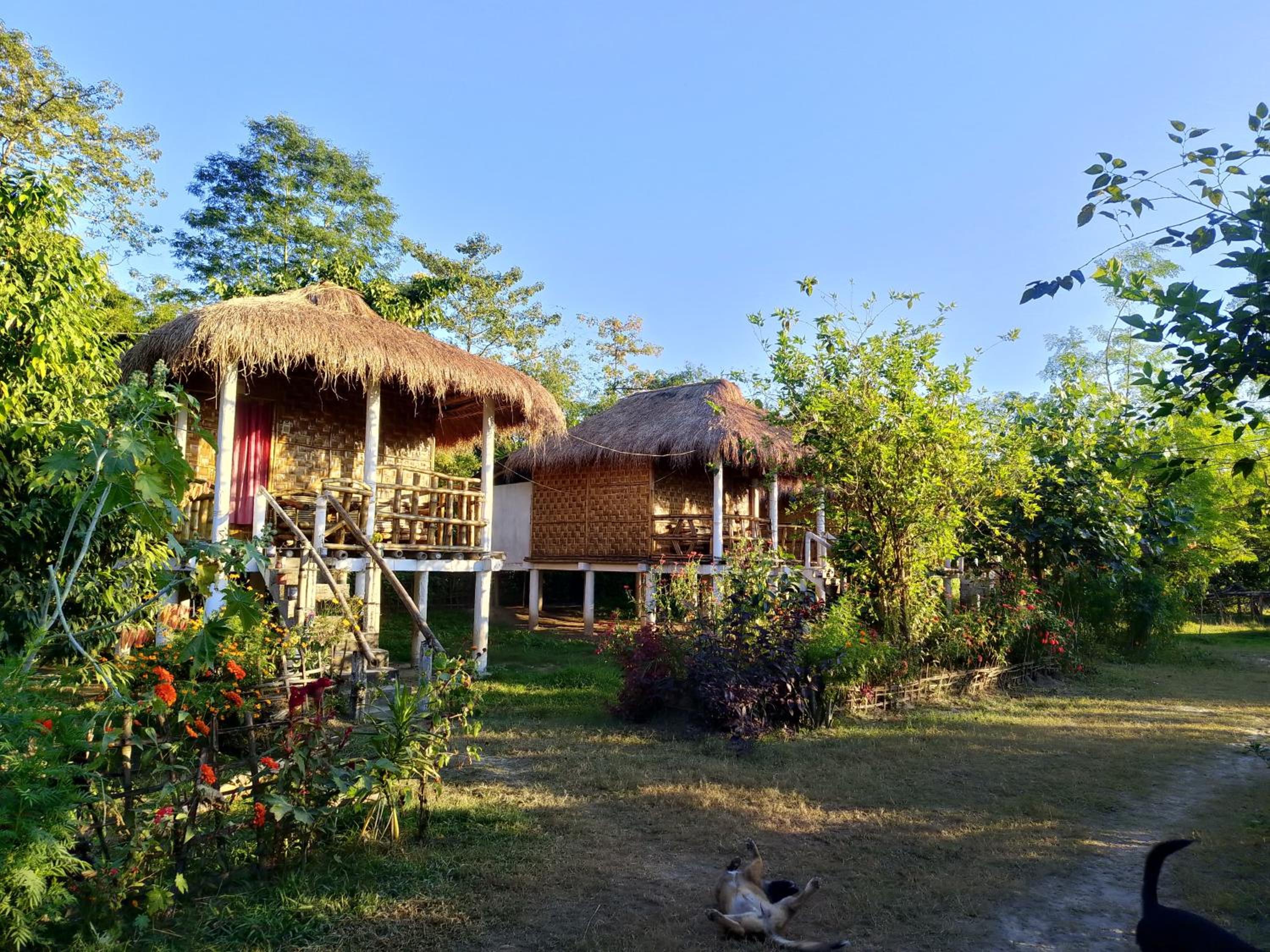 Resort Sunrise Majuli view 5