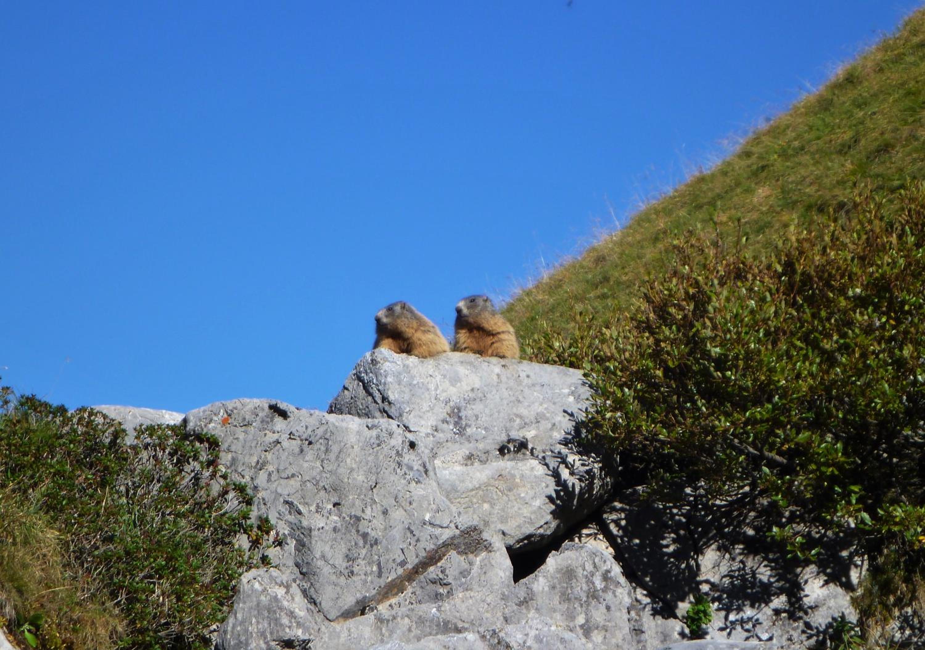 Photo 27