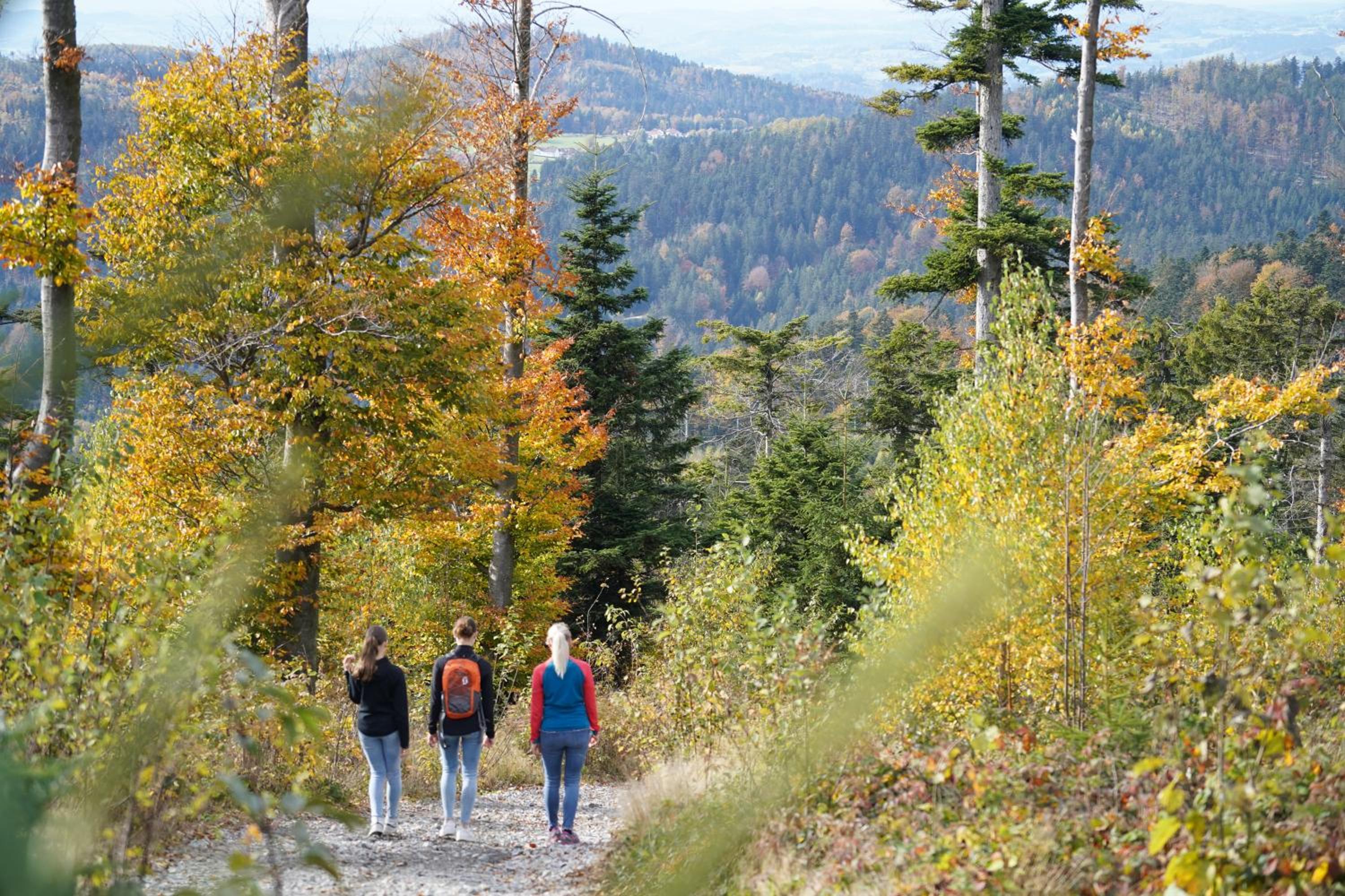 Camping Resort Bayerwald