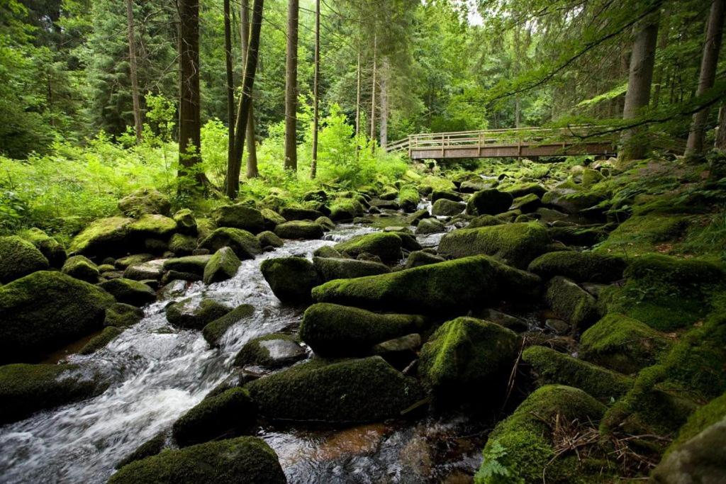 Camping Resort Bayerwald