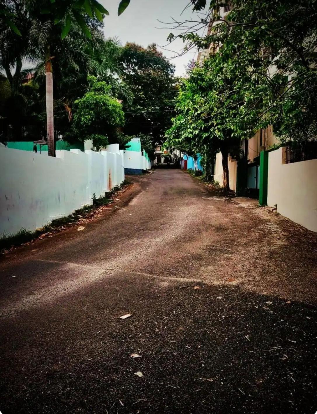 Green View Home Stay view 2