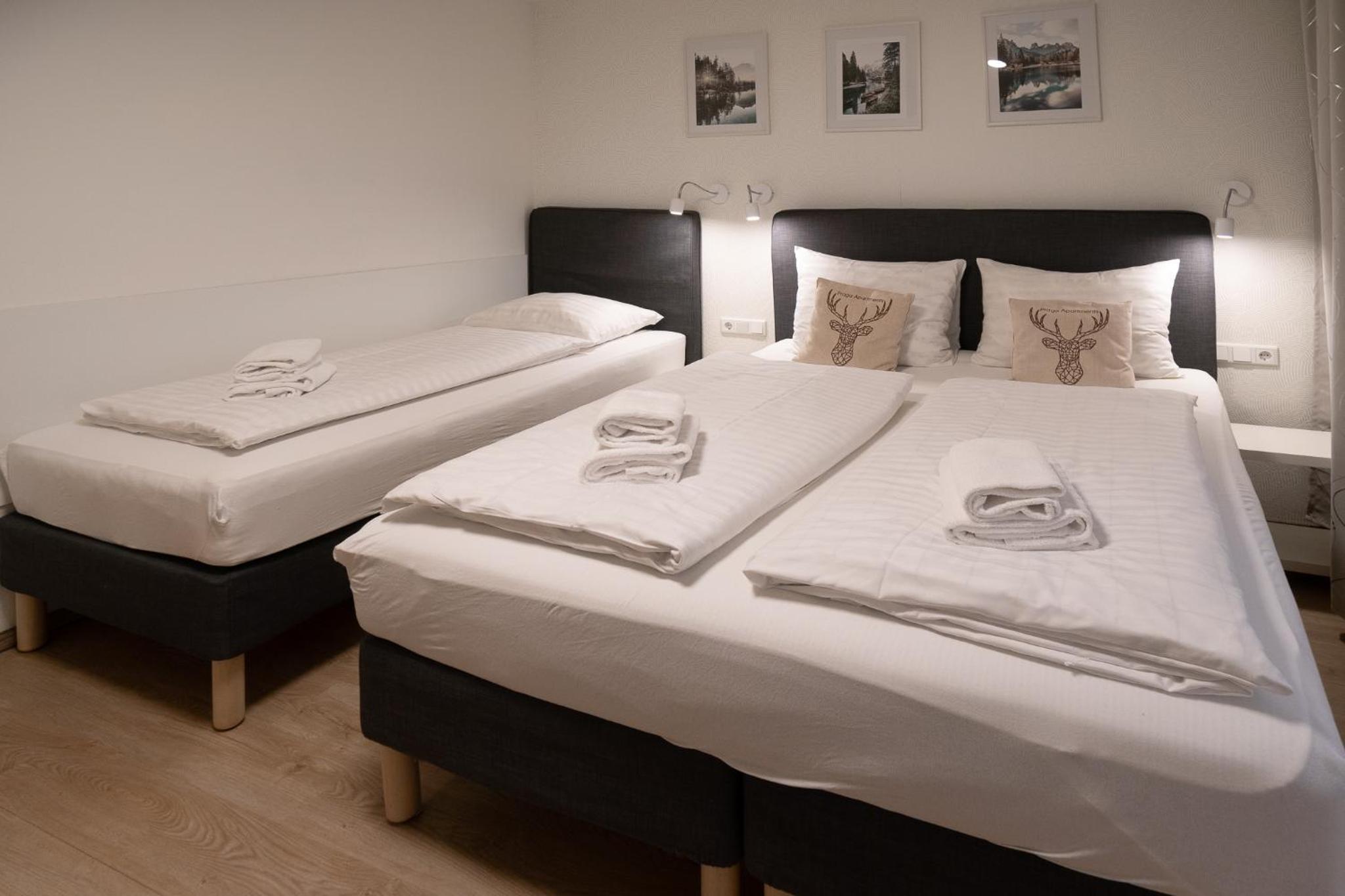 Apartment Ludvig Zell am See - Kaprun with spacious terrace