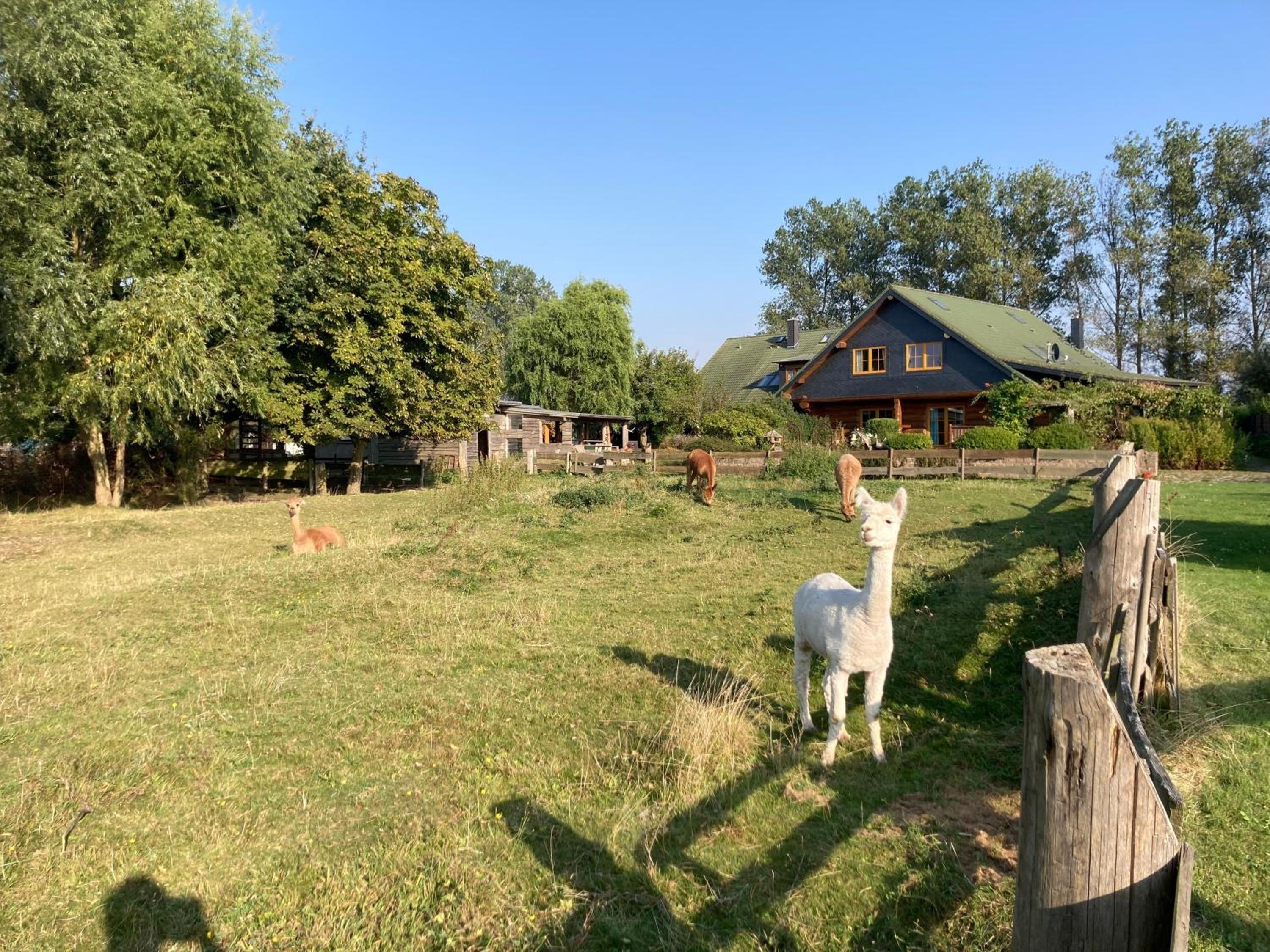 Hus un Köken - Bootsmannsstube 6
