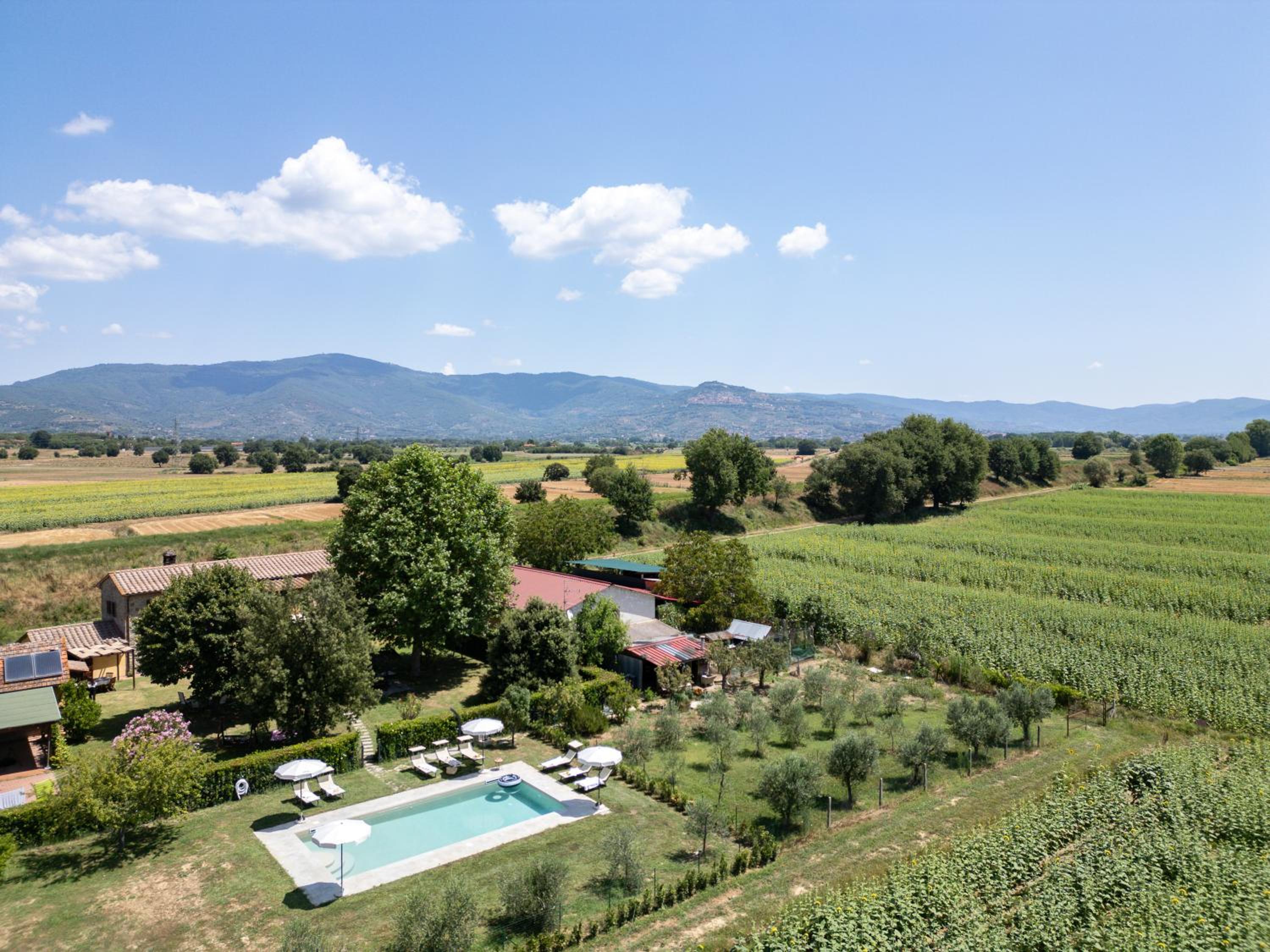 Podere Merlino