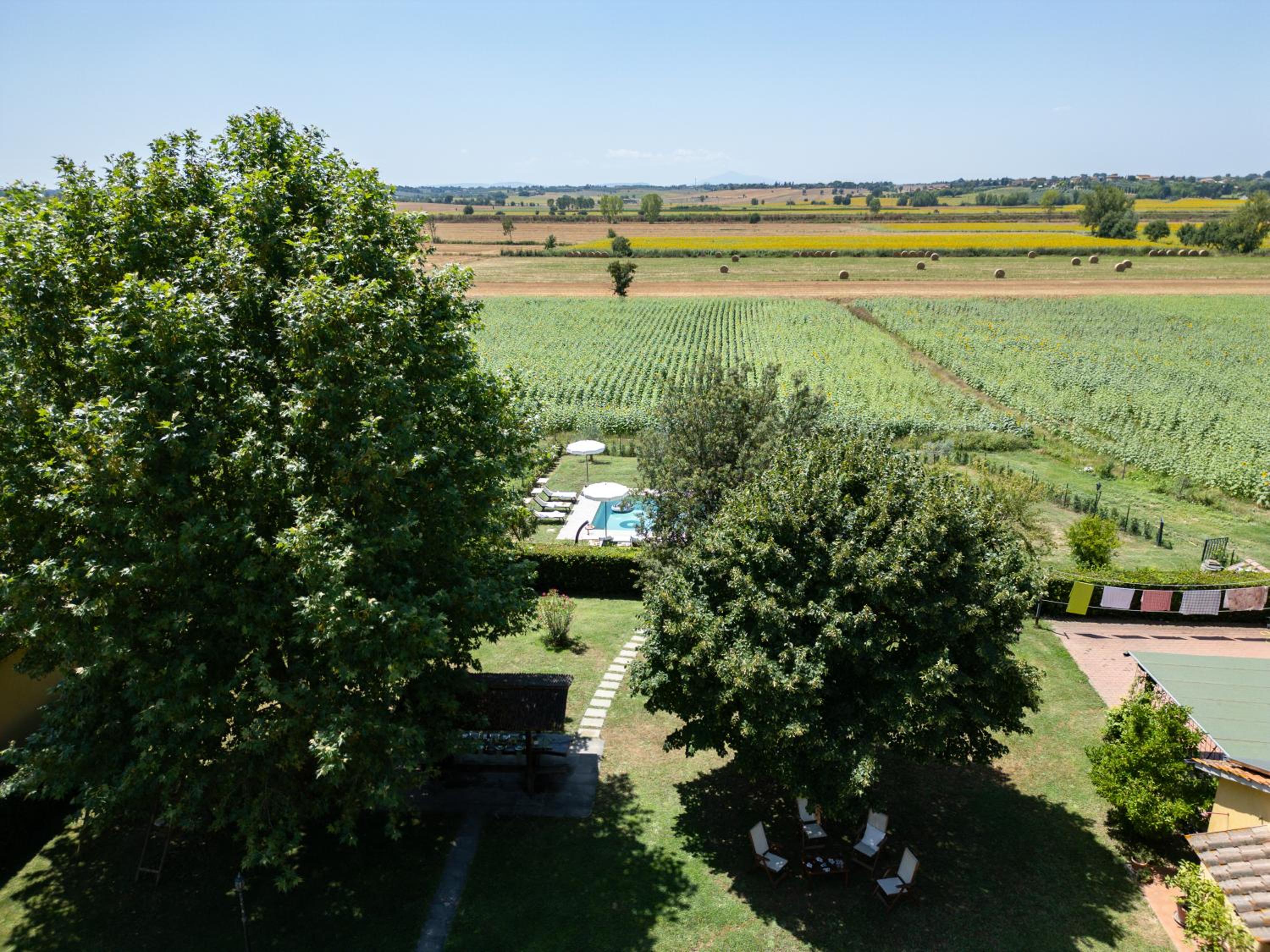 Podere Merlino