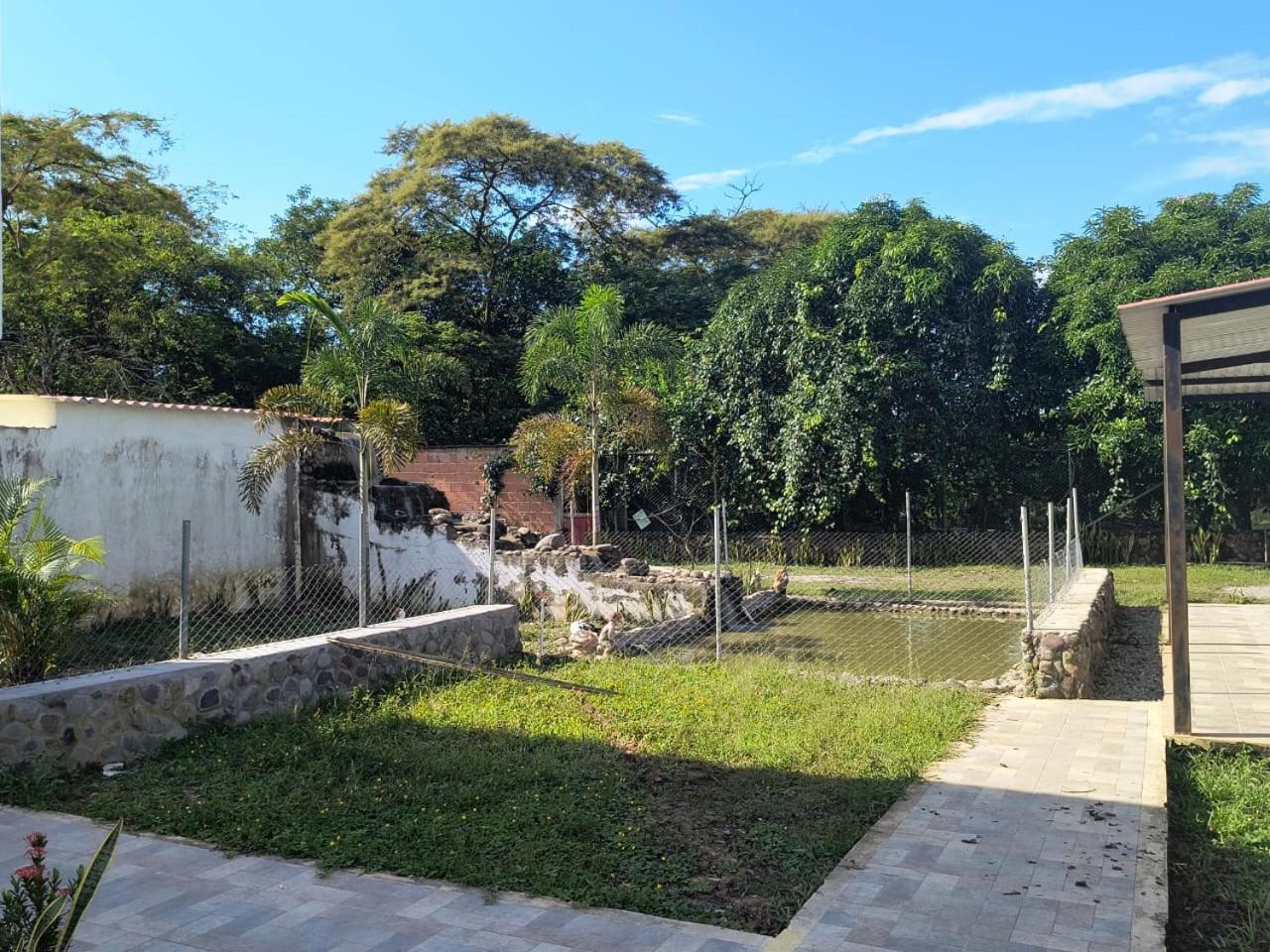 Photo 6