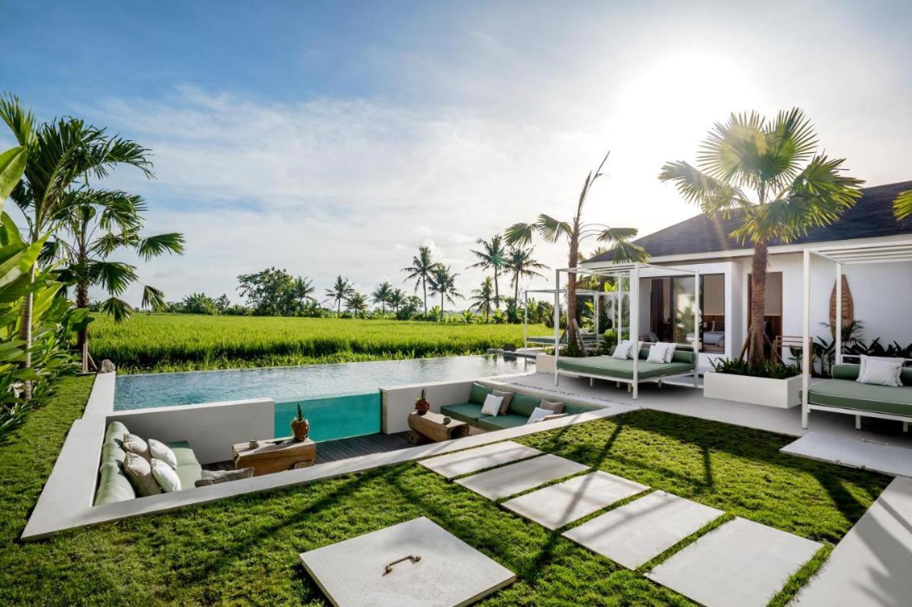 Vivalavida 6 BR Luxurious Villa RiceField View CYN view 5