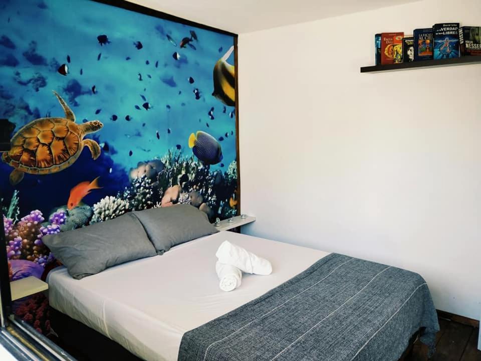 NNH oceano
