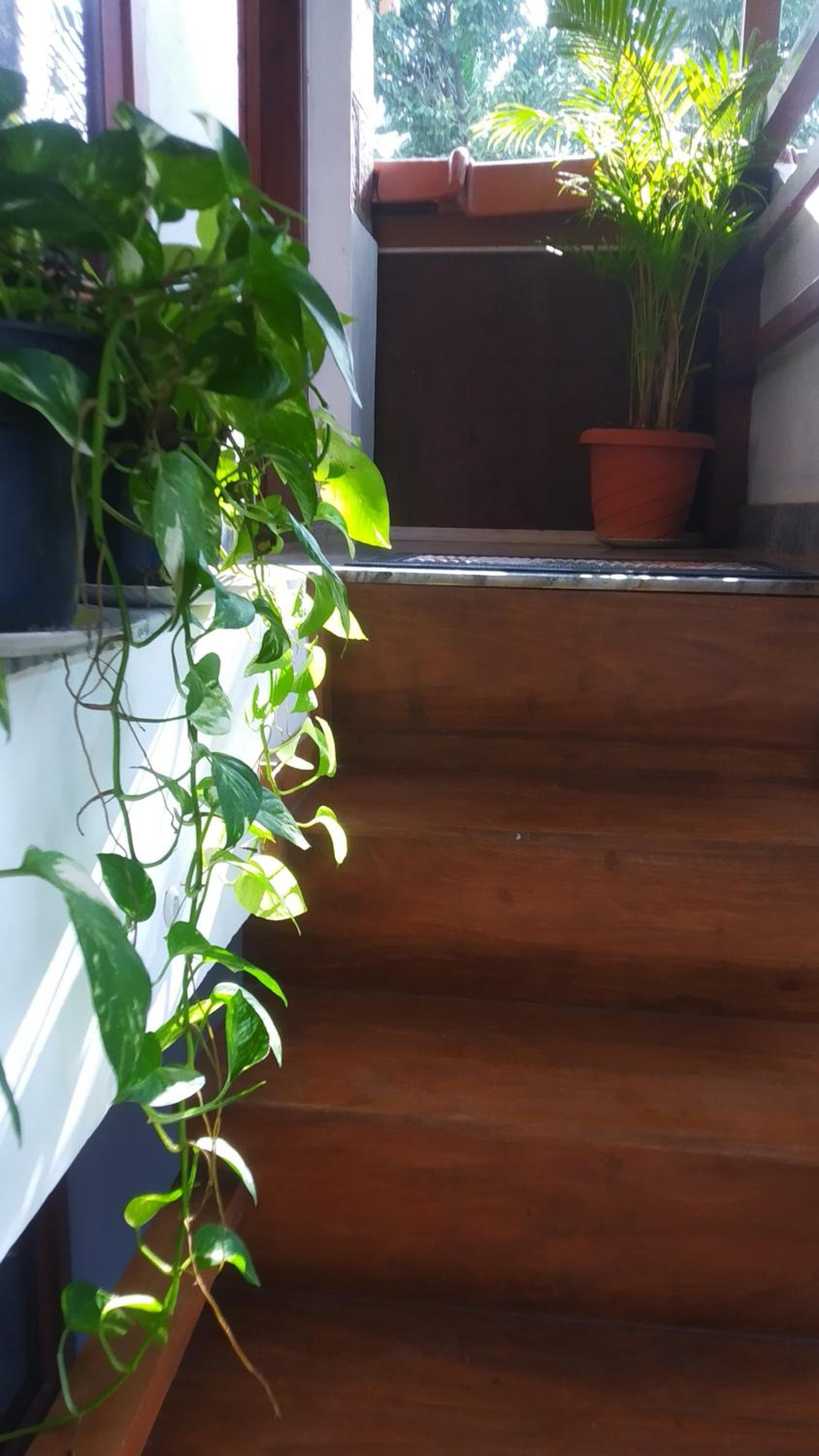 Kanav homestay