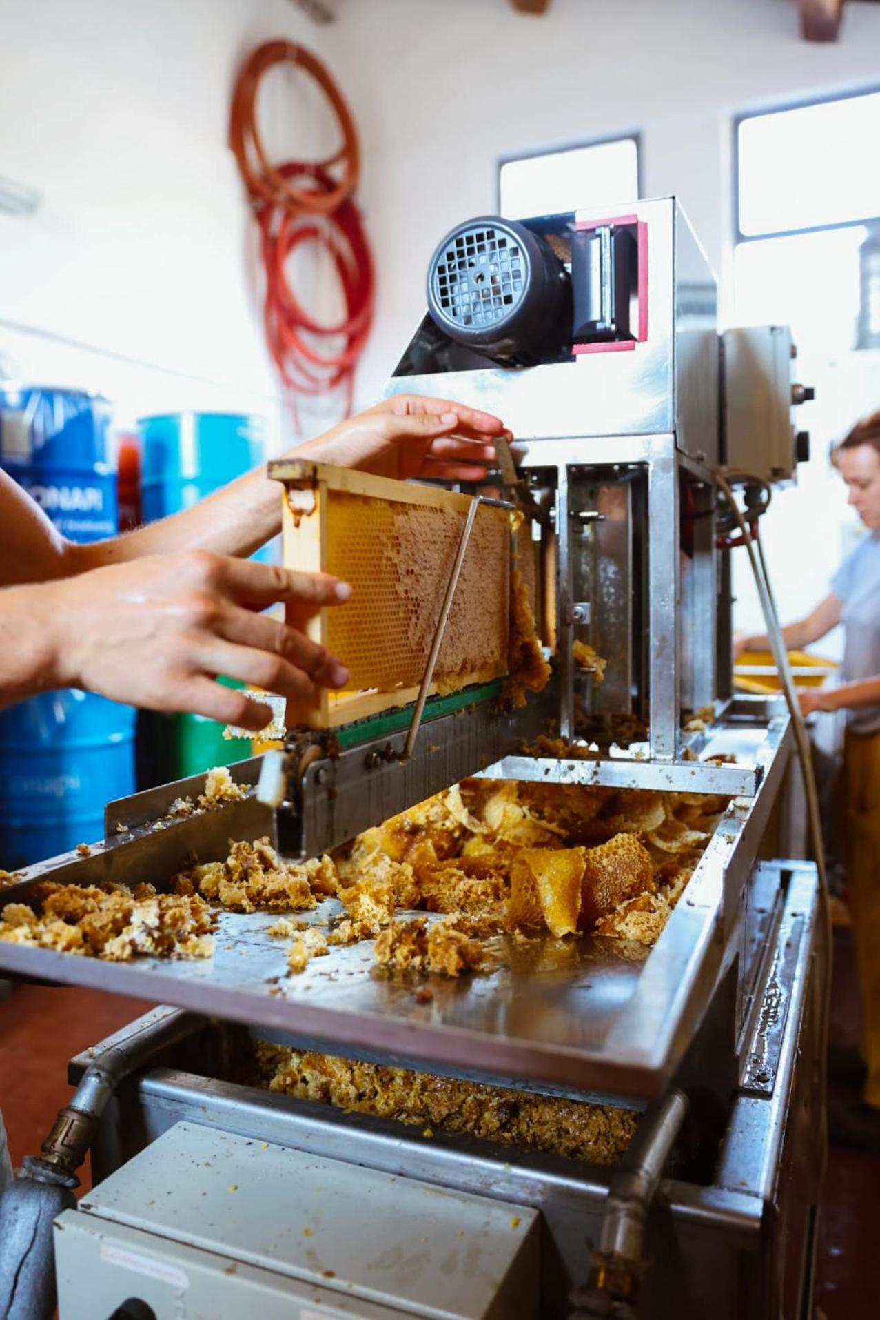 Bio-Agriturismo La Ginestra photo 3