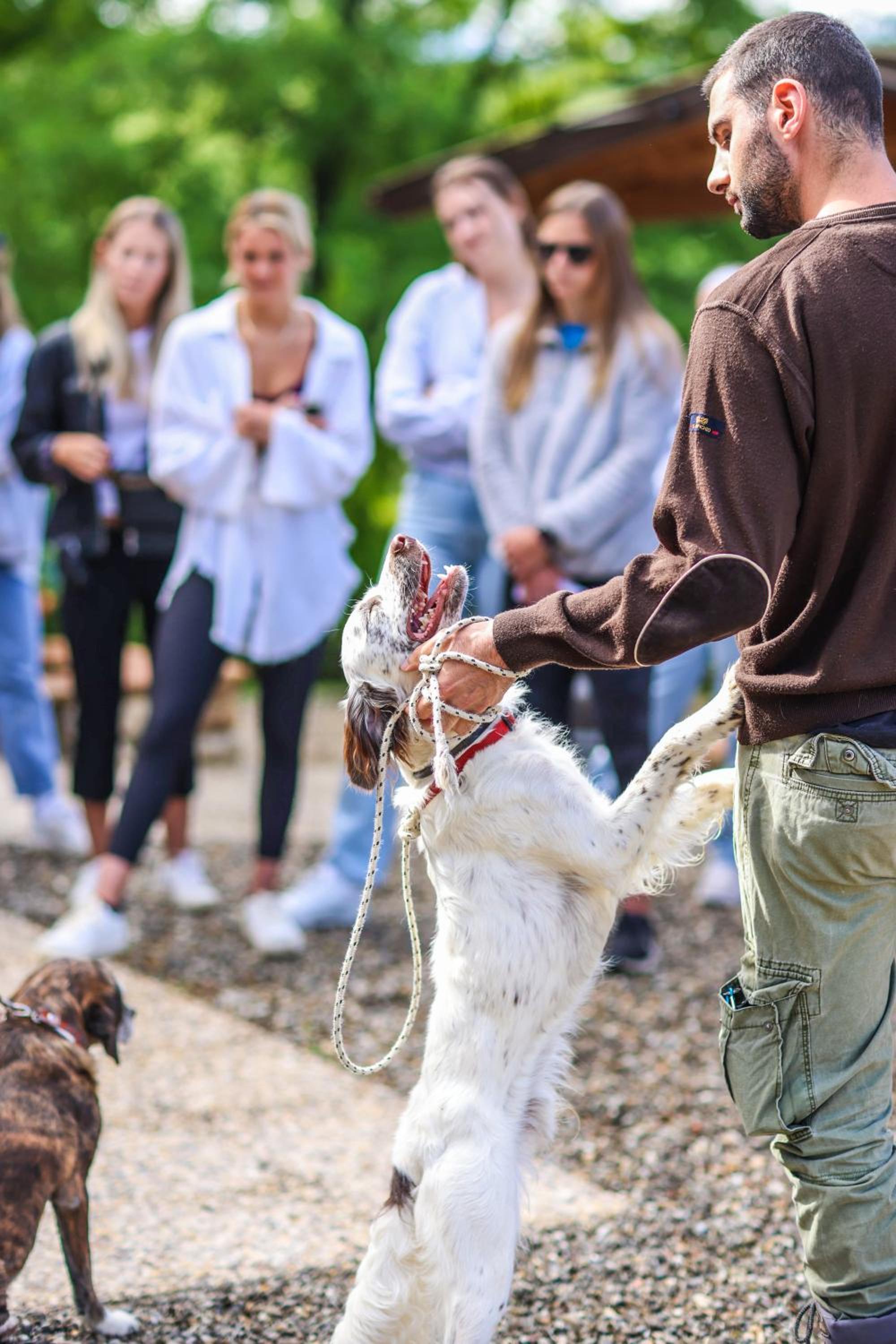 Bio-Agriturismo La Ginestra photo 4