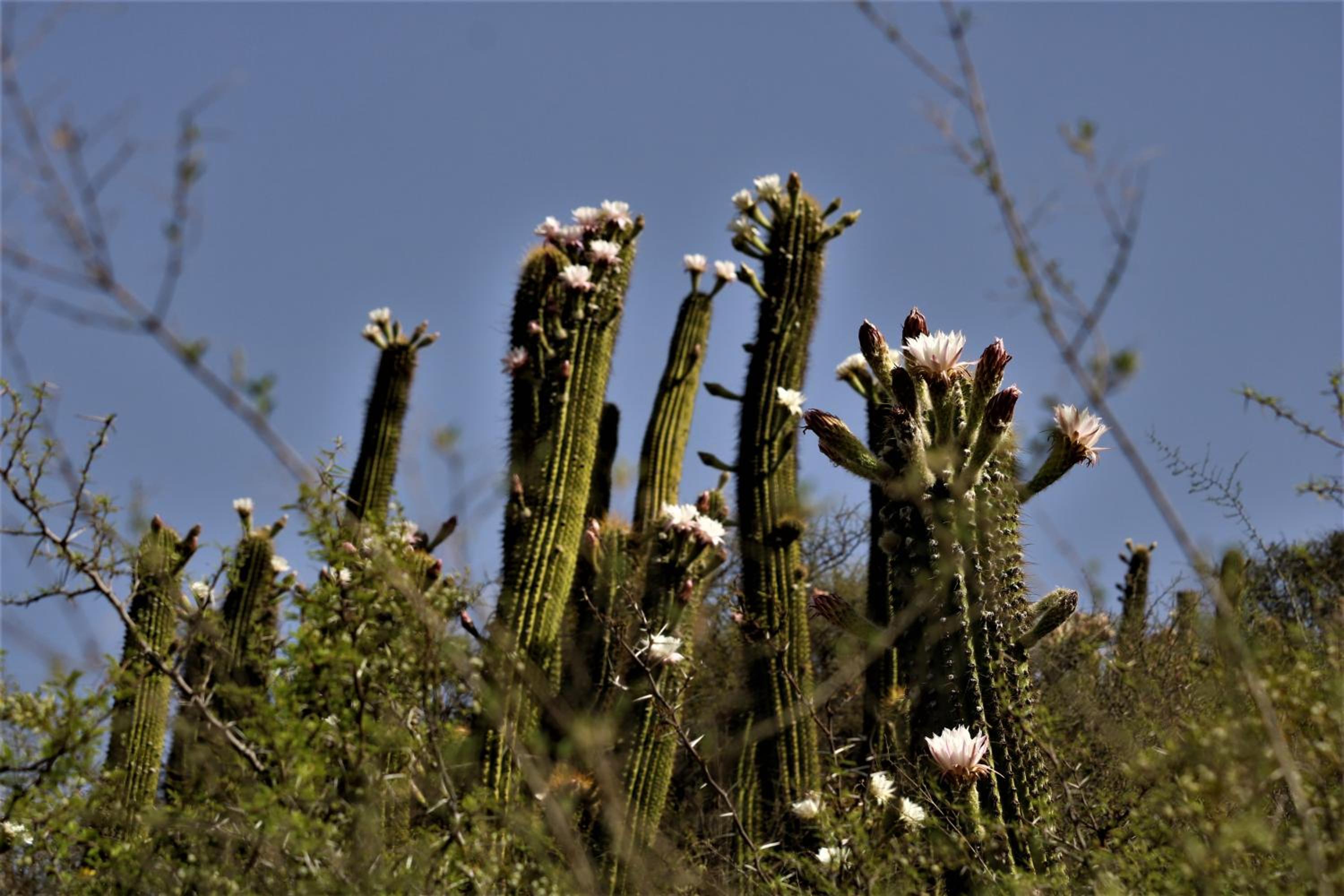 Las Valentinas Hospedaje de Montaña
