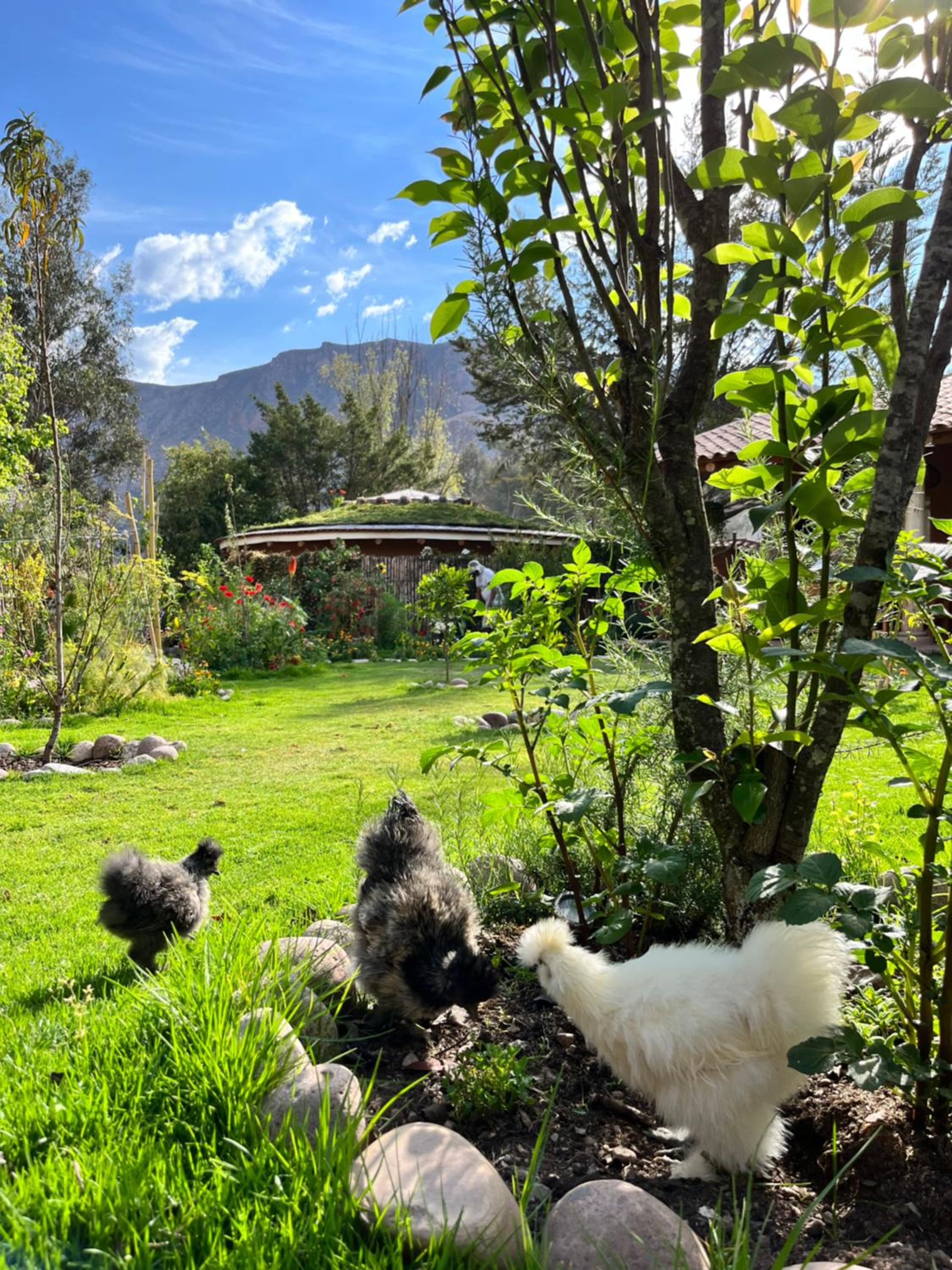 Casa Tikawarmi