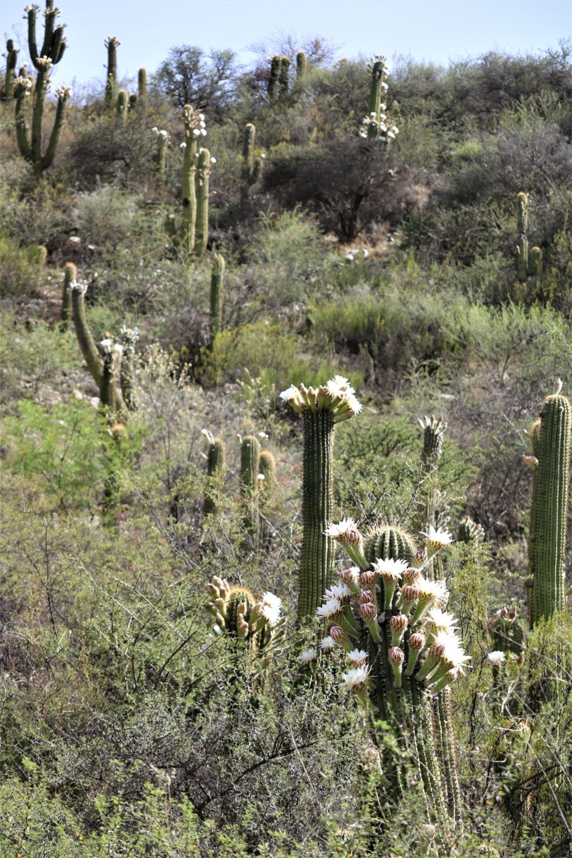 Las Valentinas Hospedaje de Montaña