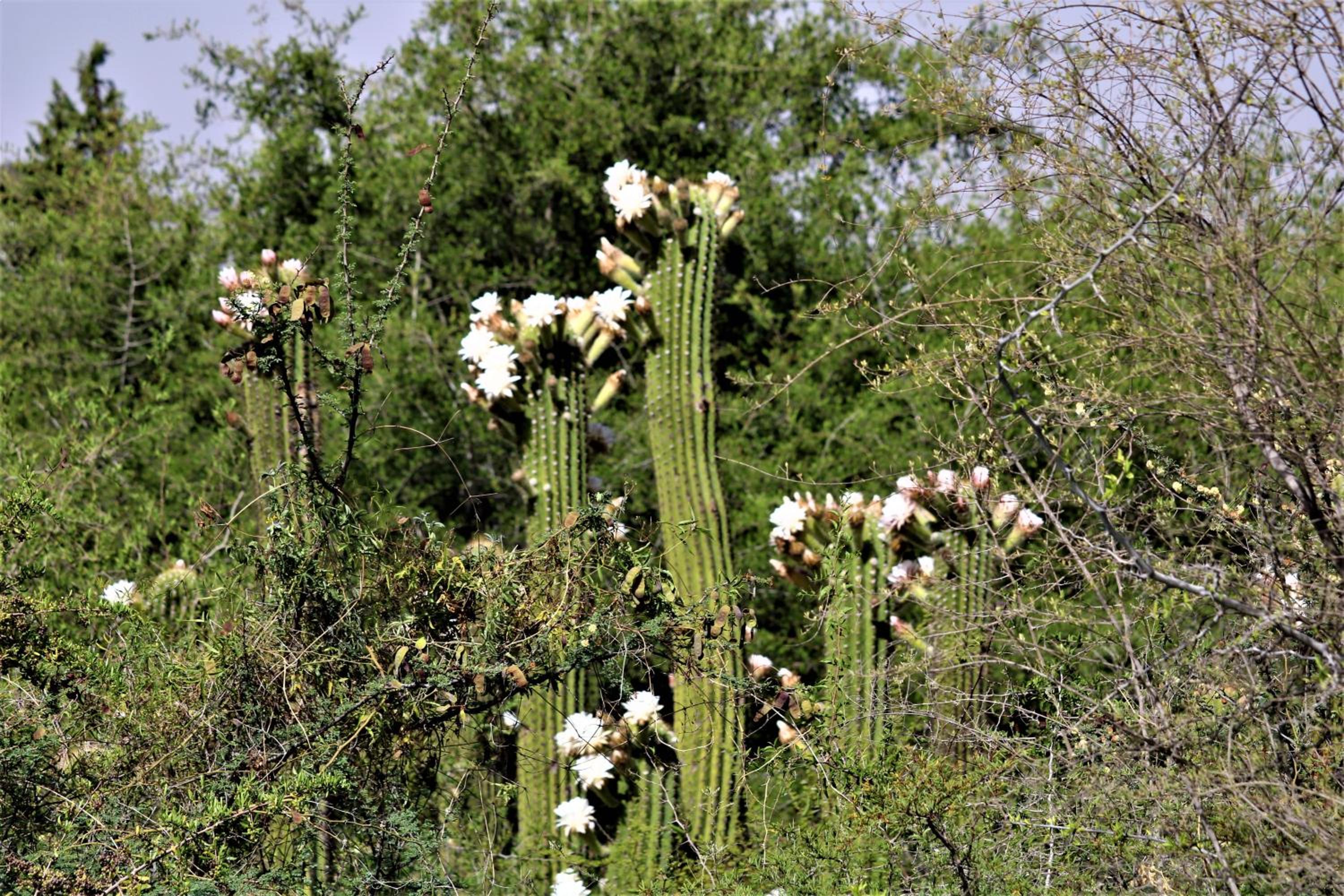 Las Valentinas Hospedaje de Montaña