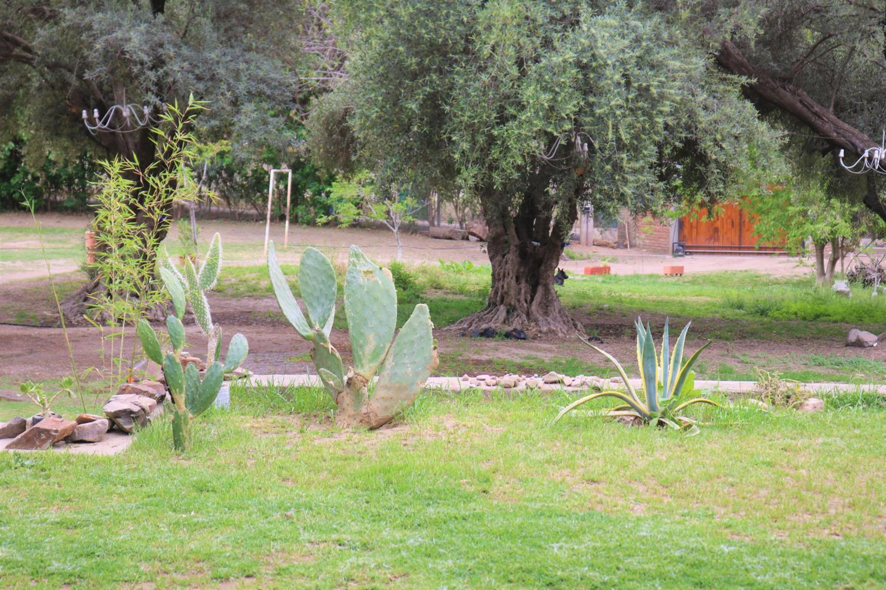 Las Valentinas Hospedaje de Montaña