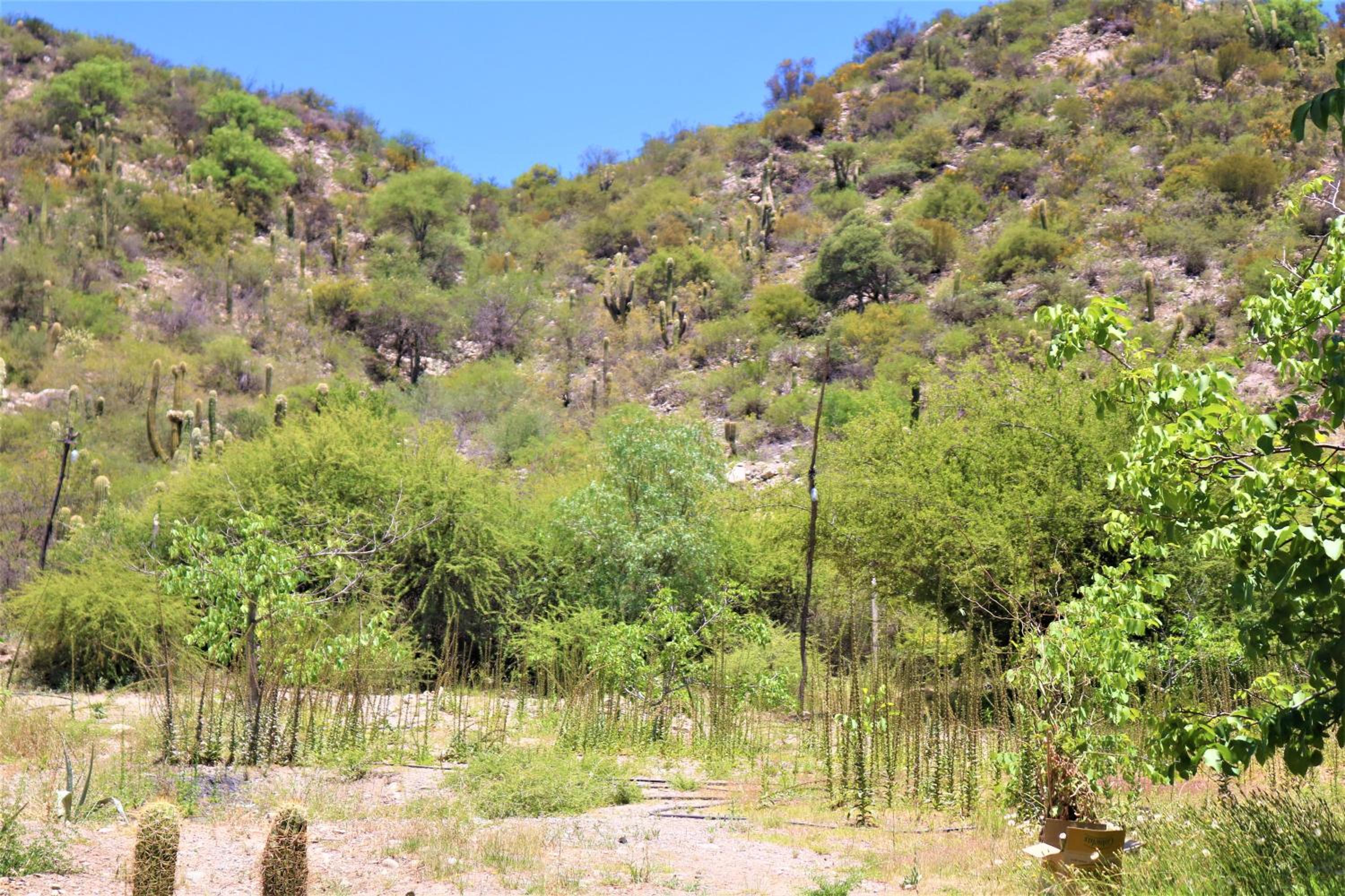 Las Valentinas Hospedaje de Montaña