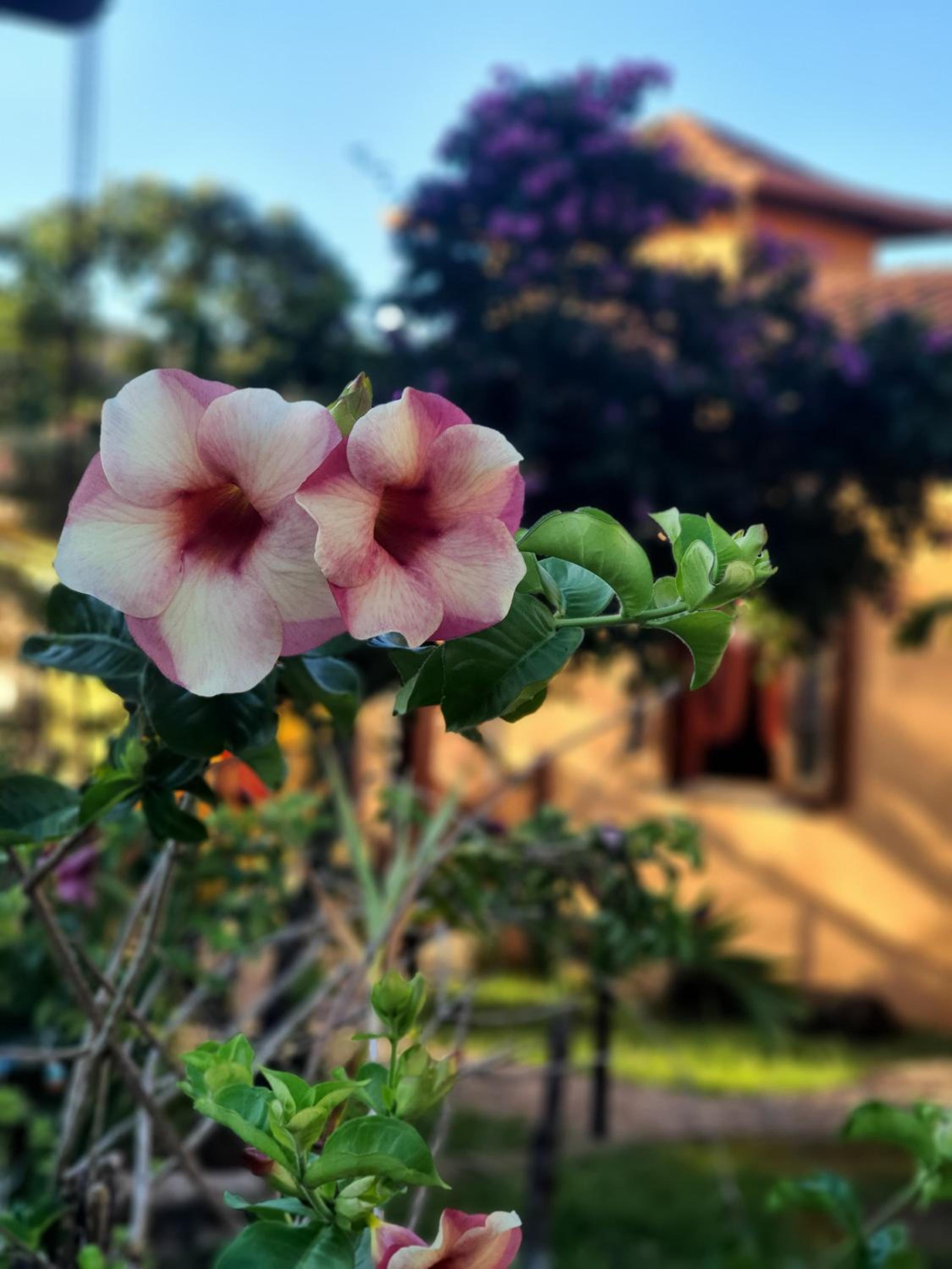 Pousada Villa di Lavras