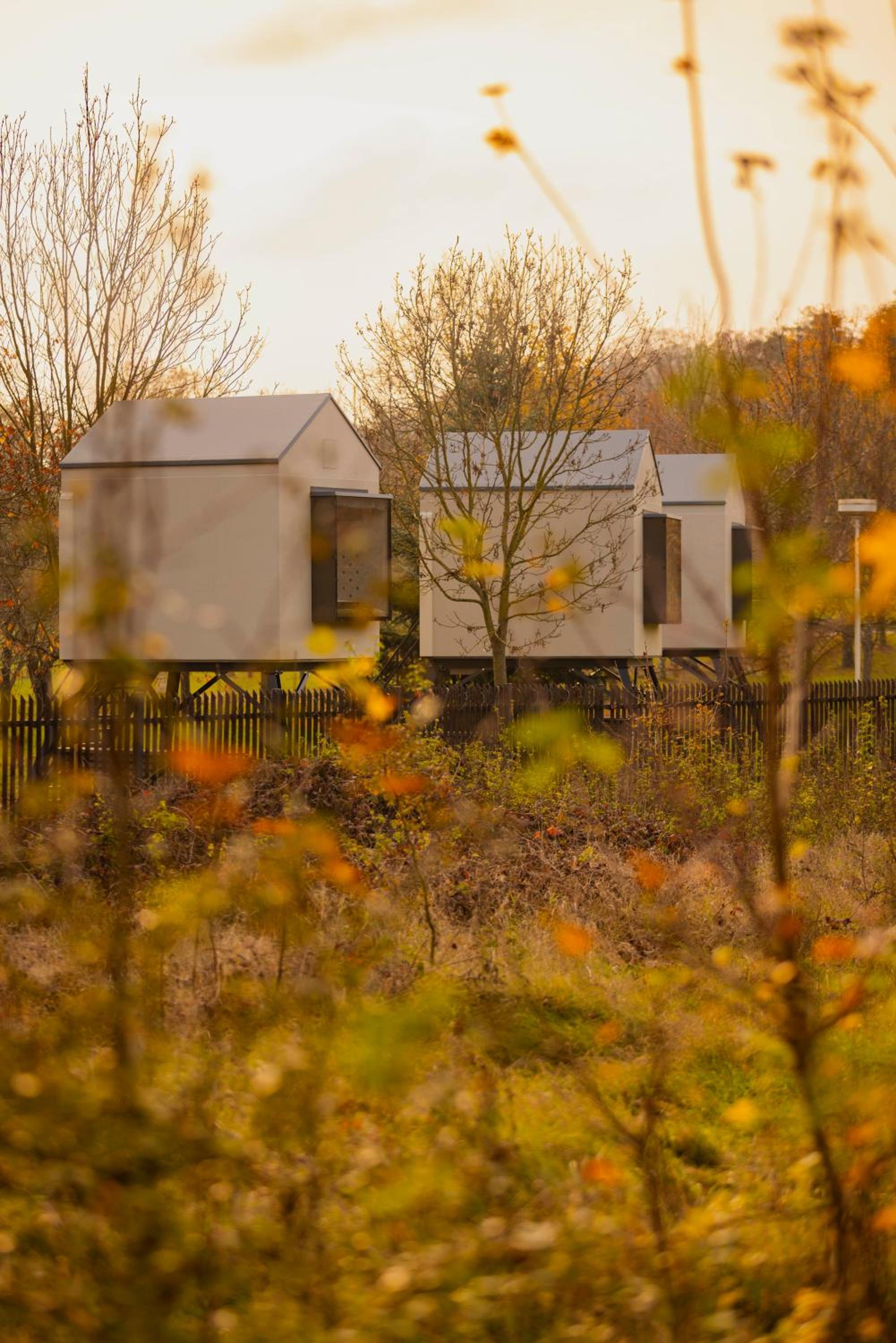 Prague Camping Dzban