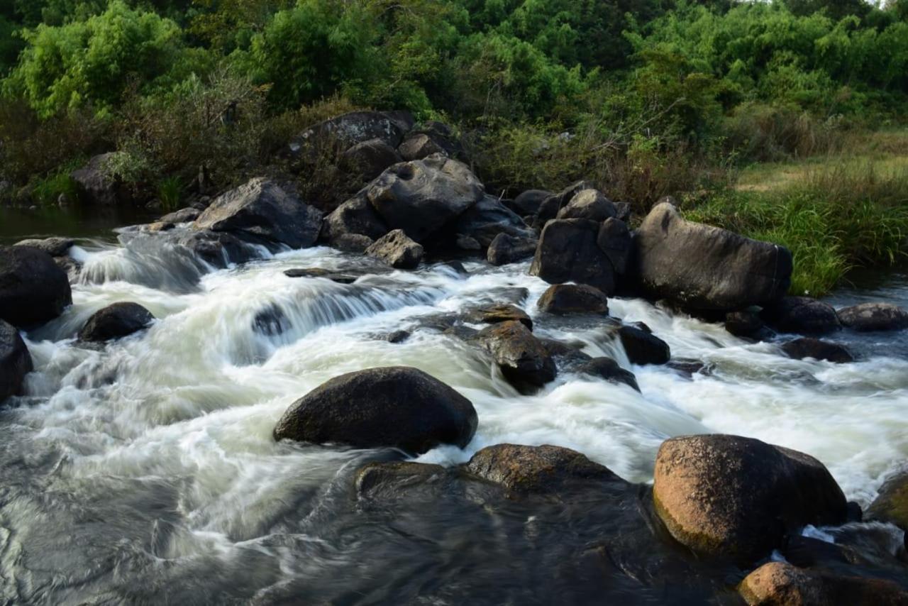 Bhagyashree Homestay
