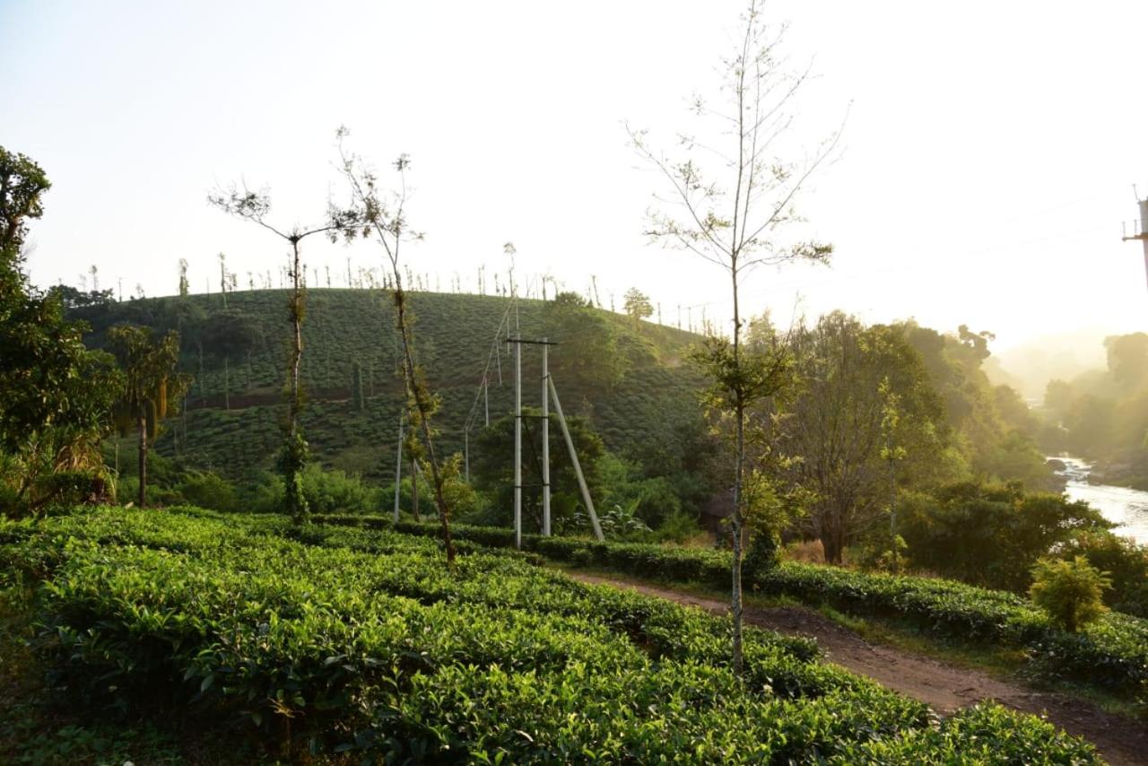 Bhagyashree Homestay