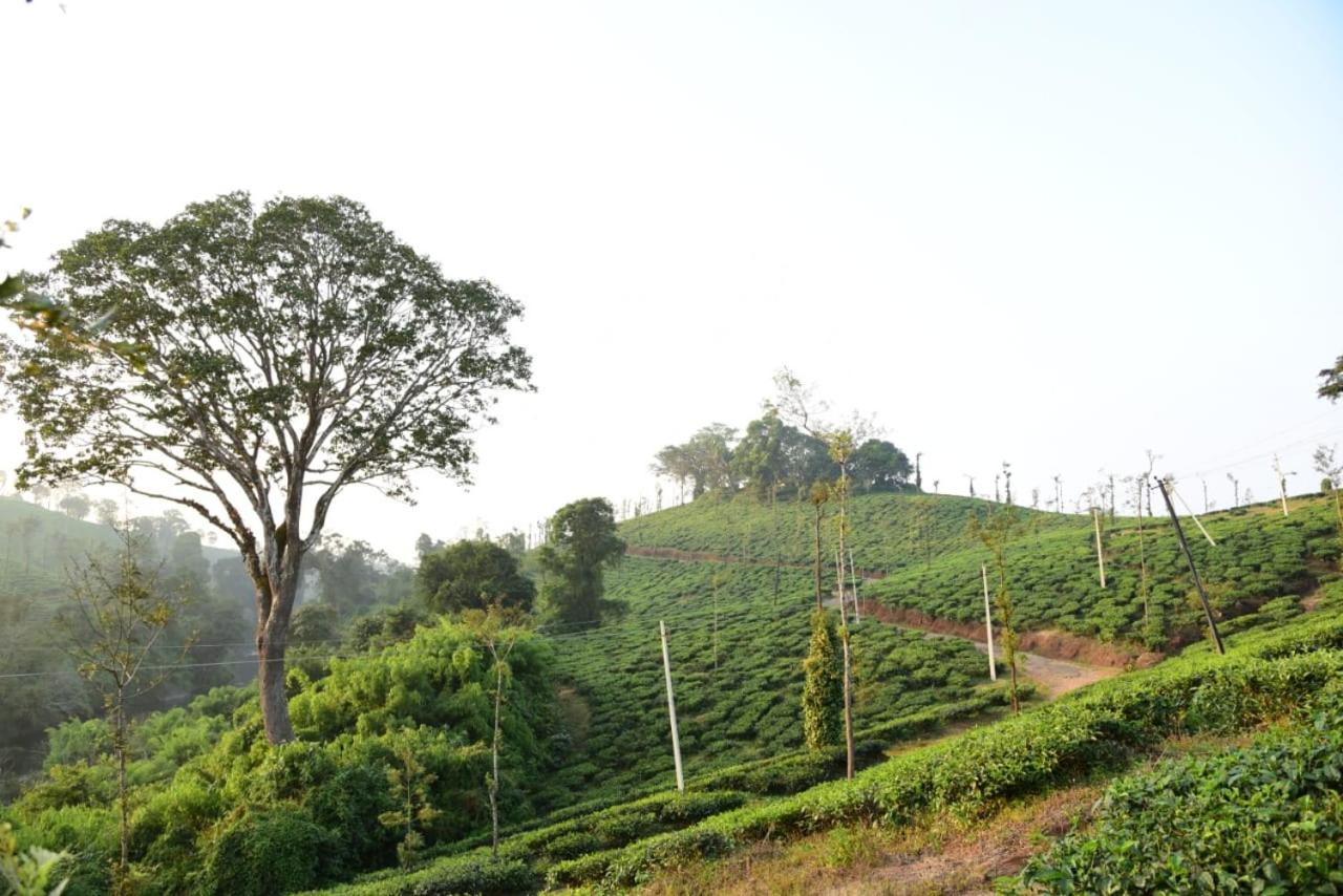 Bhagyashree Homestay
