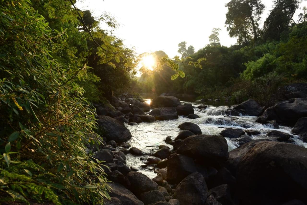 Bhagyashree Homestay