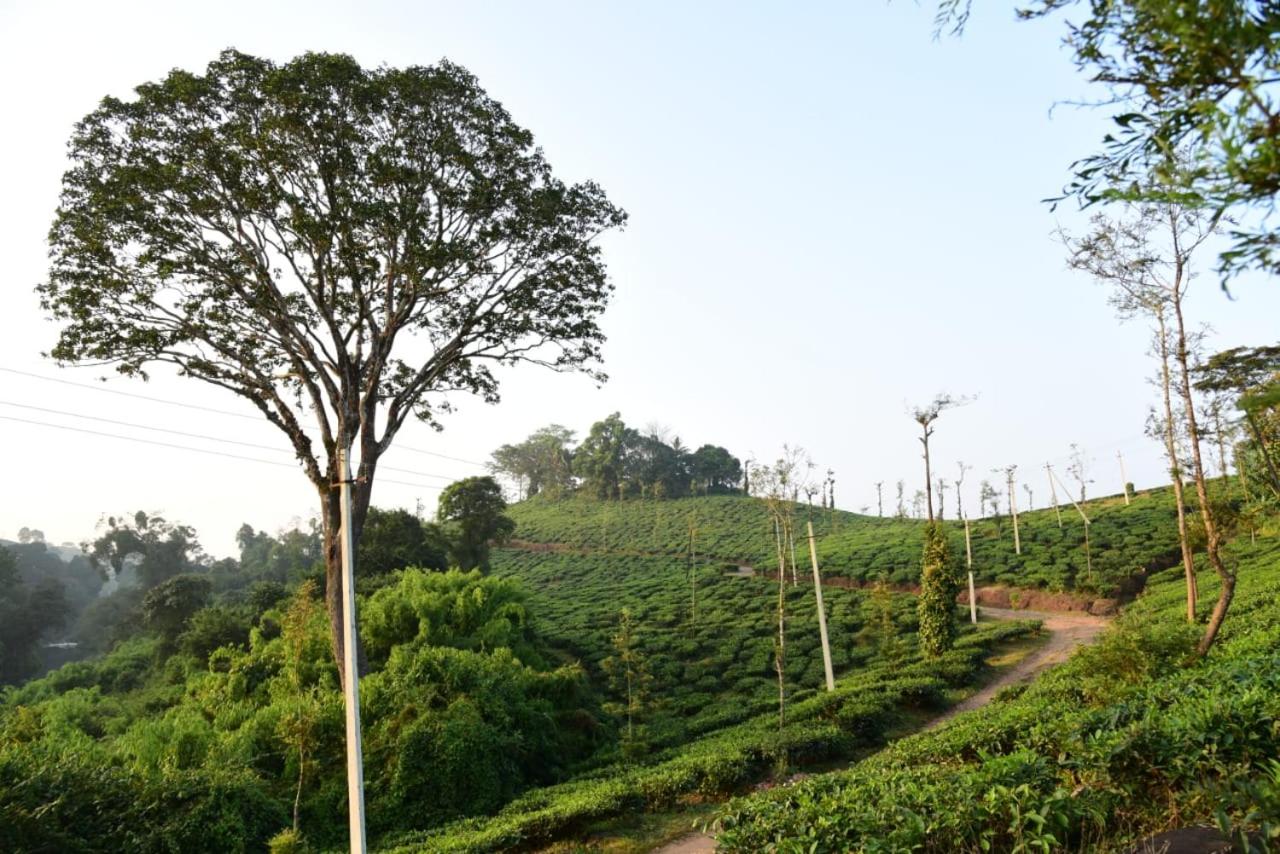 Bhagyashree Homestay