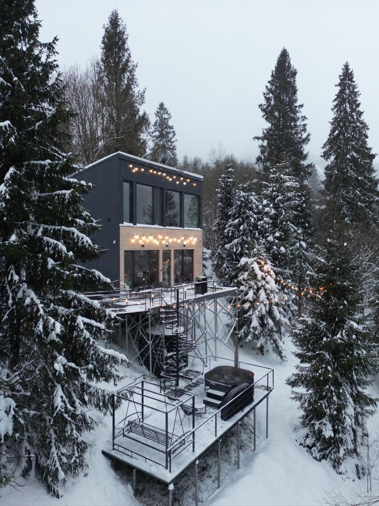 Forest Hub