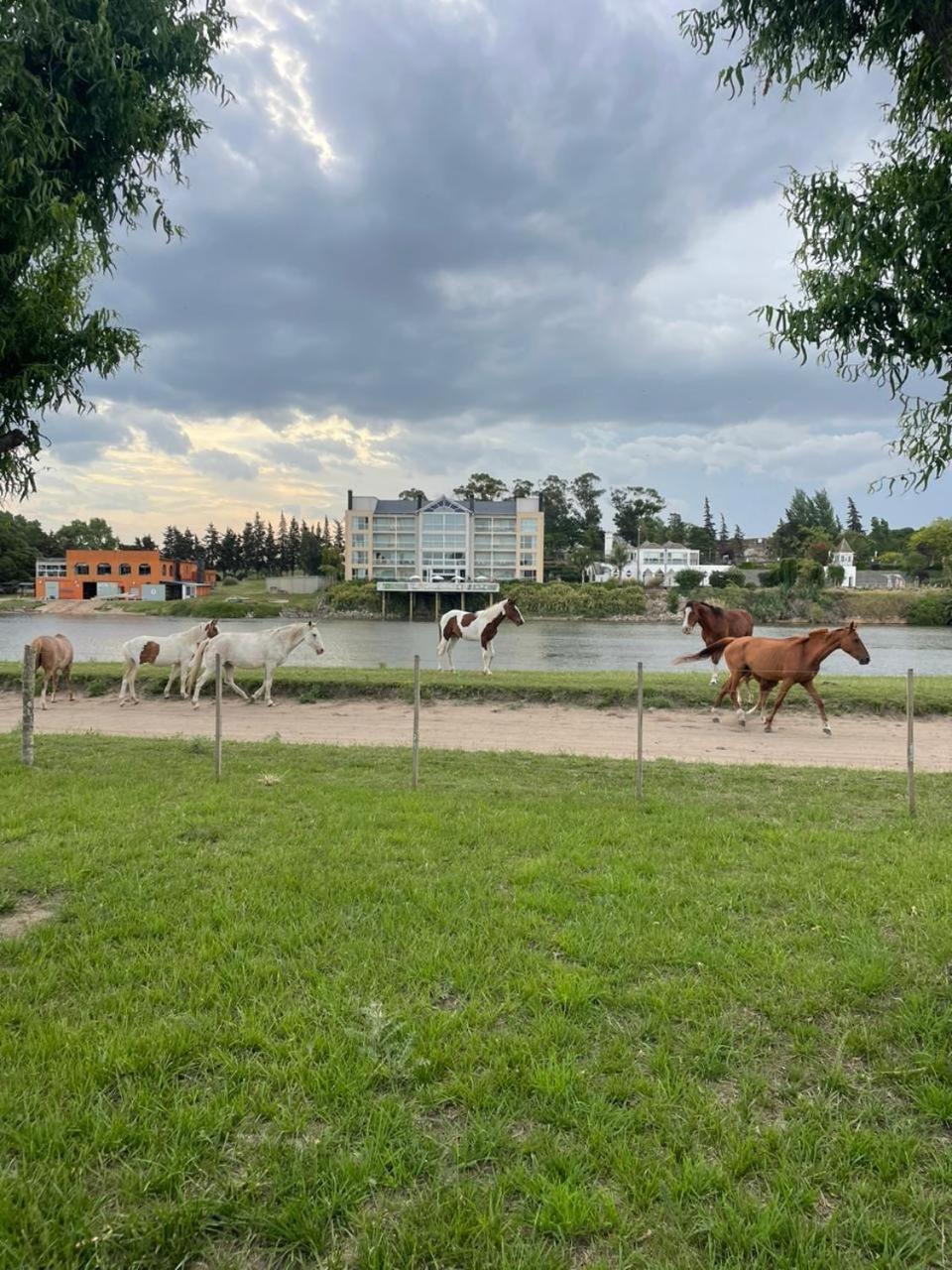 Complejo Ribera de Quequén casa 2