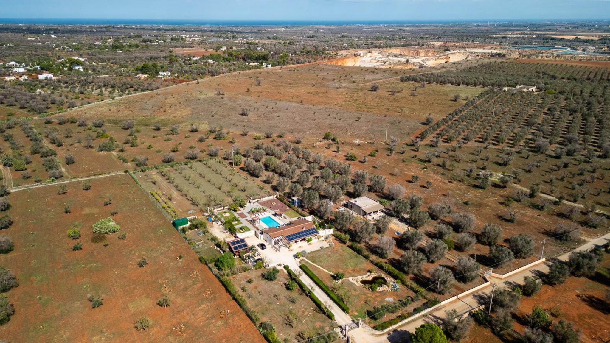 Villa Alexander con Piscina by Wonderful Italy view 4