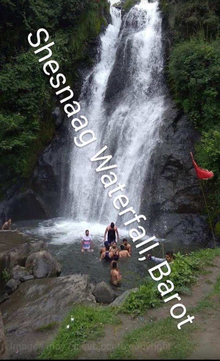 WATERFALL CAMPS Barot