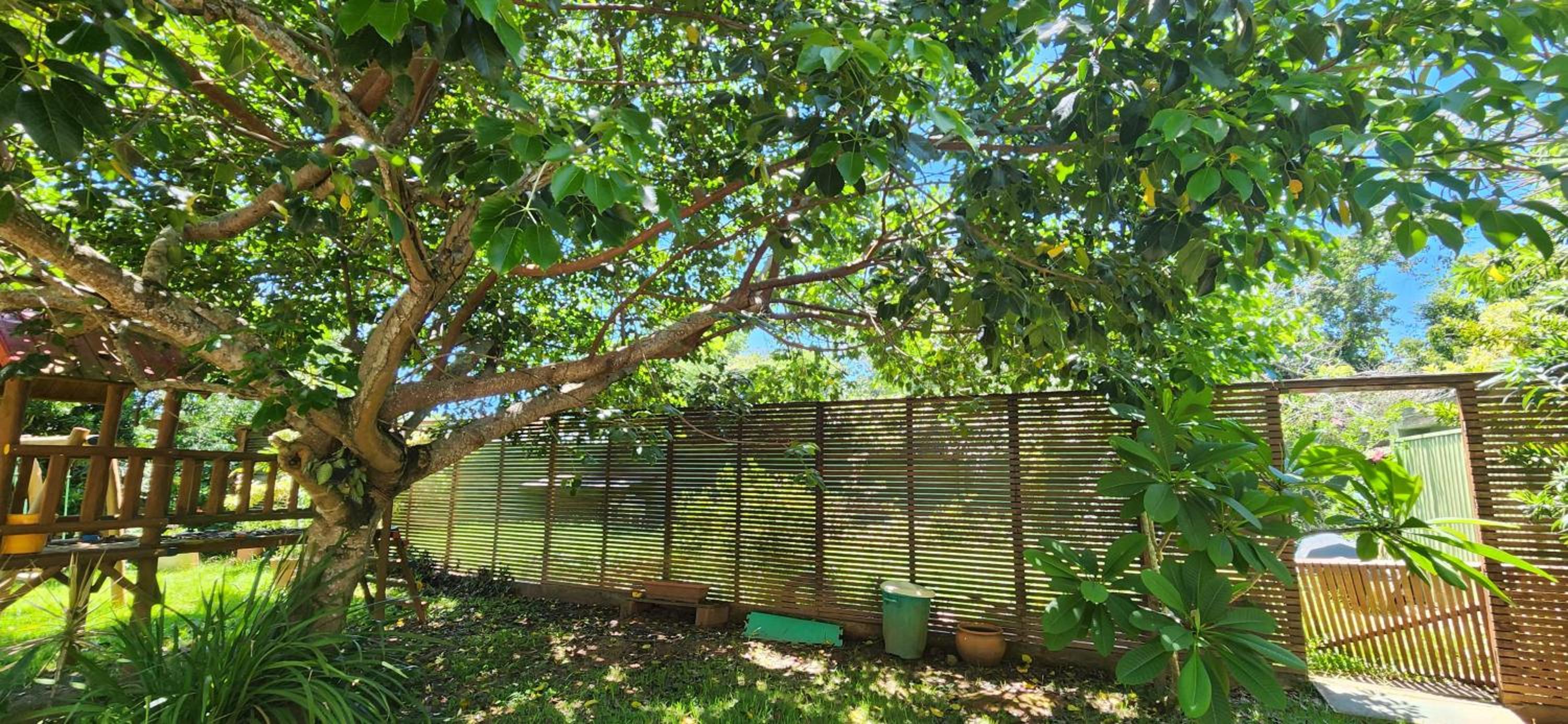 Paz e natureza a dois passos da praia