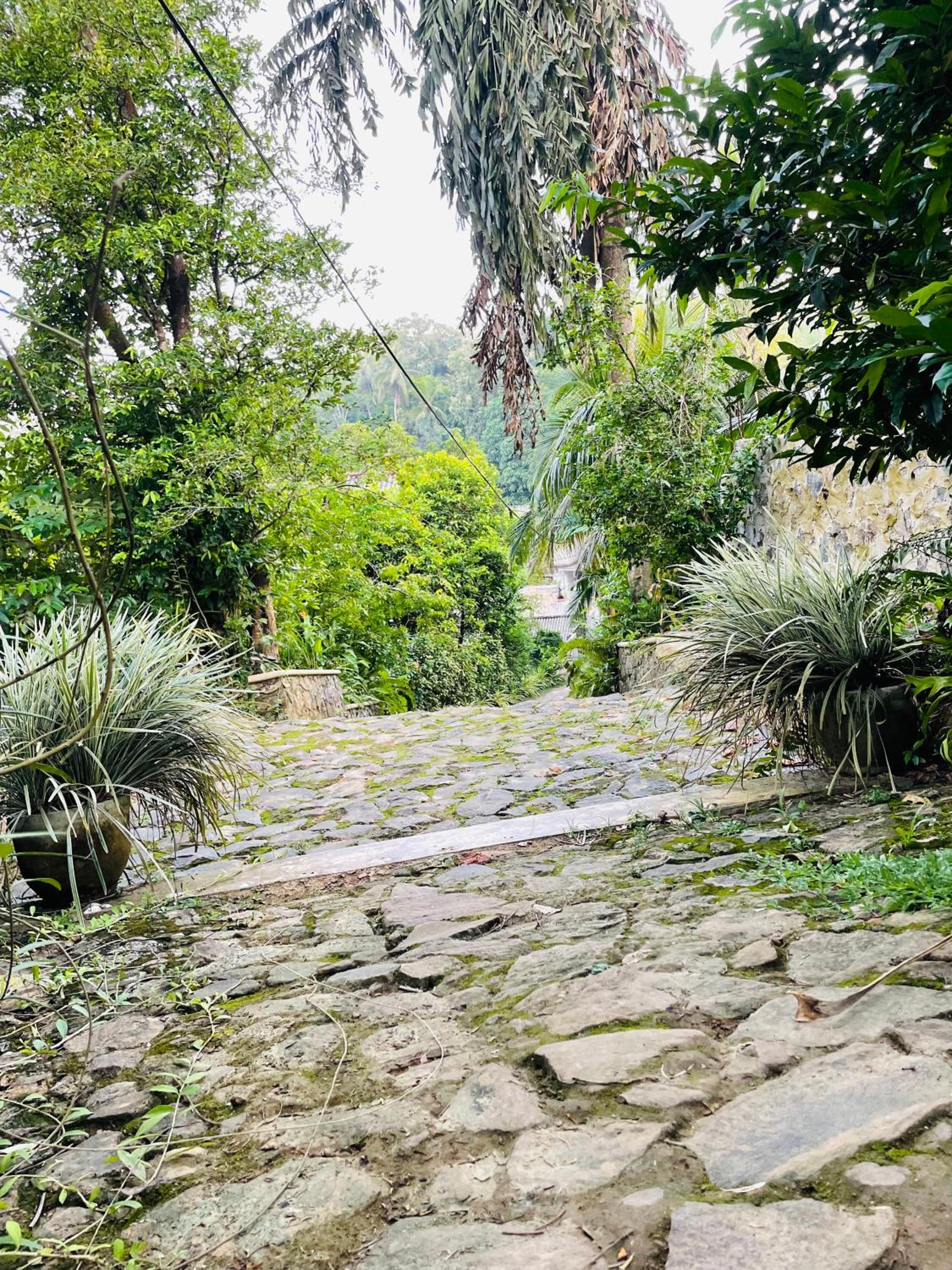 Eco Garden Hiriketiya view 3